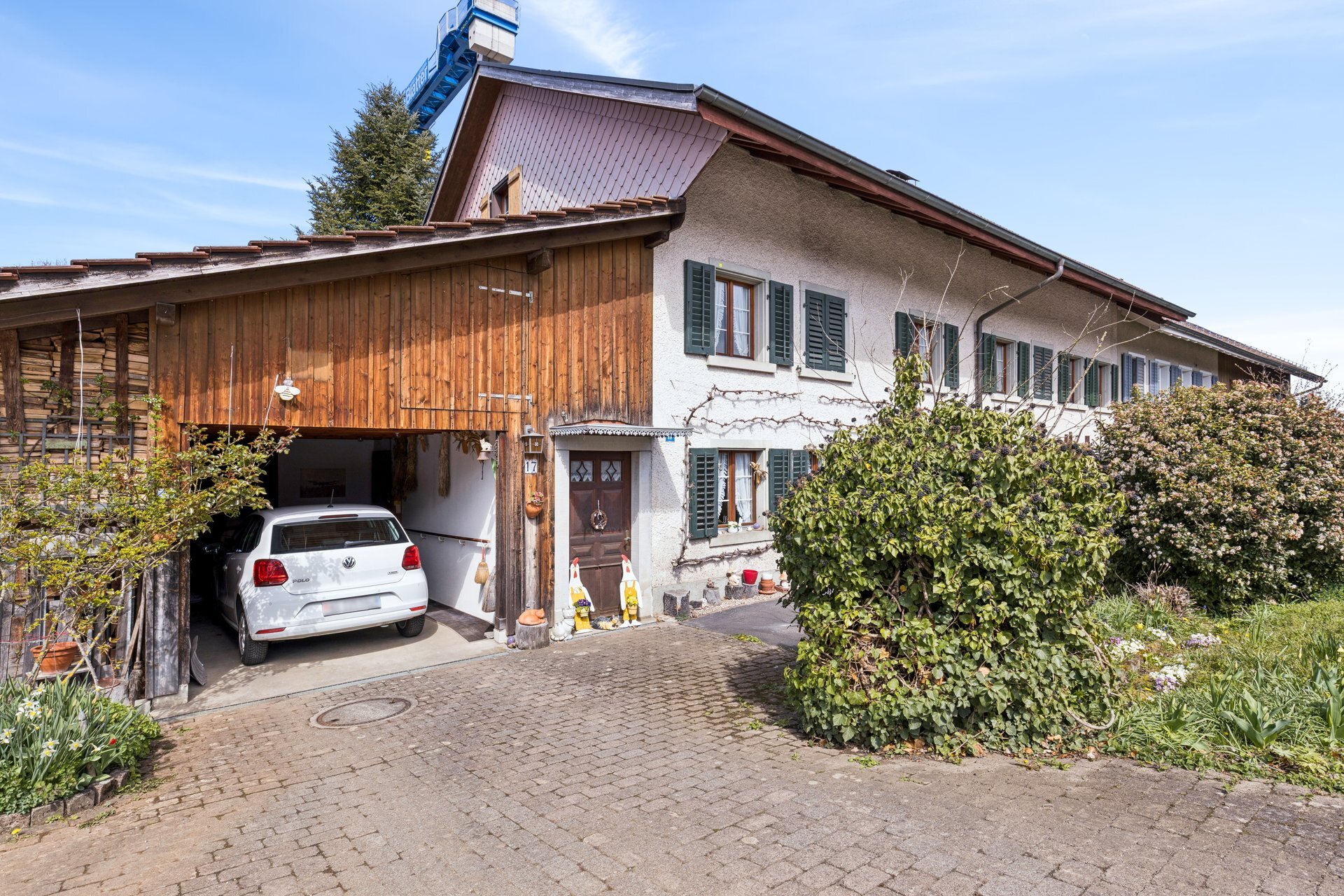 Immagine di copertina