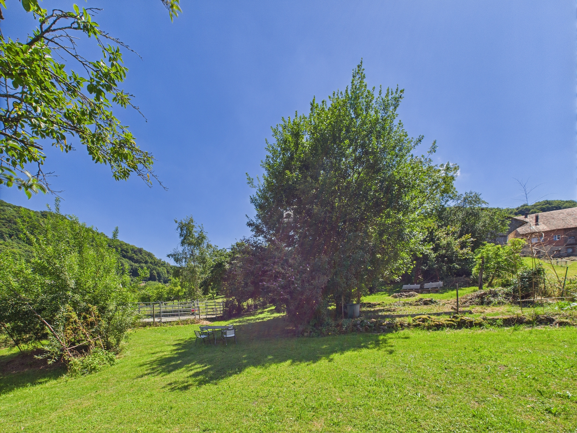 Garten/Wiese Garten/Wiese