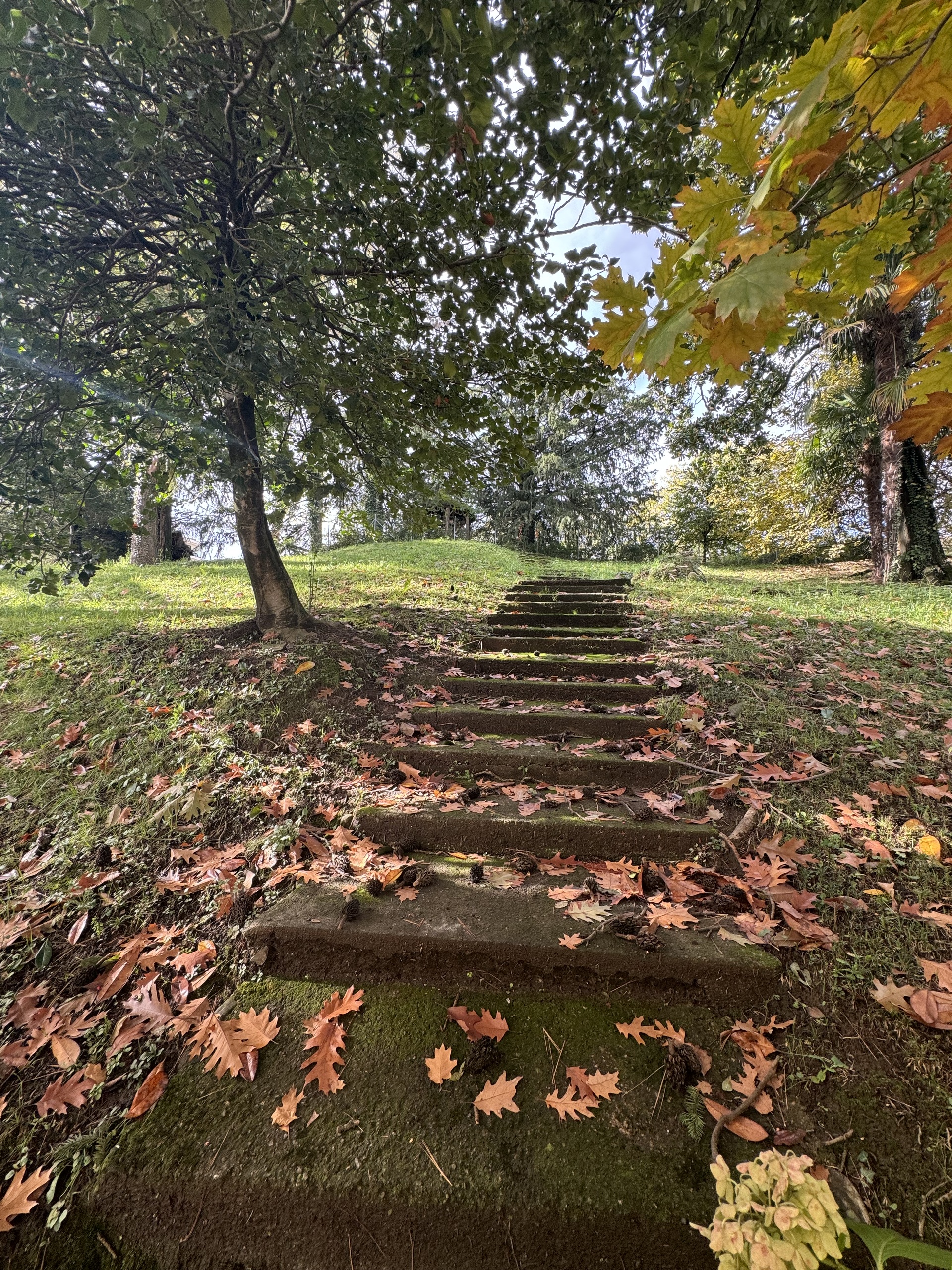 Vue extérieure 1