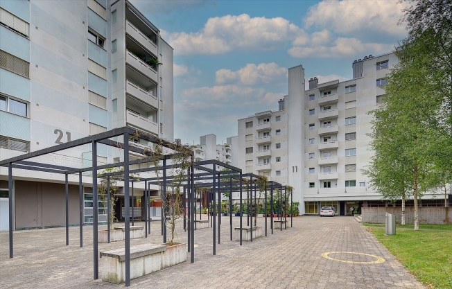 Immagine di copertina