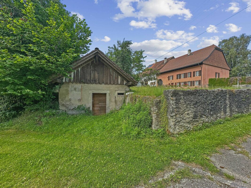 Photo 16