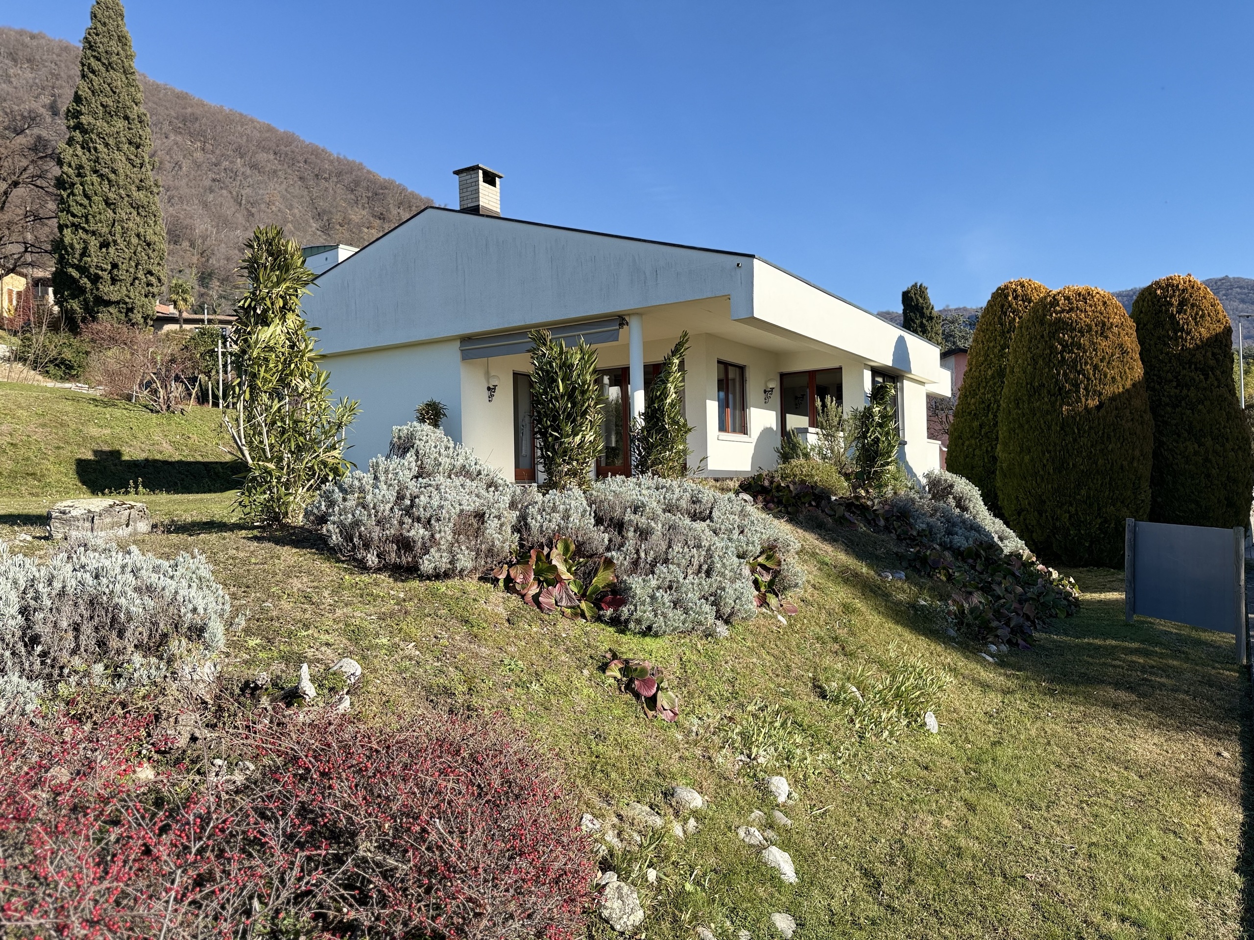 Immagine di copertina