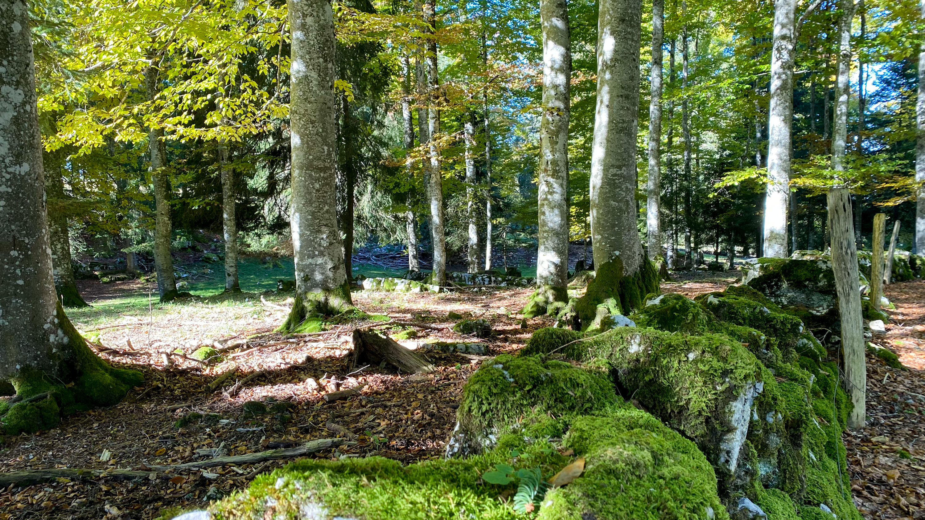 Projet immobilier à Provence avec villas à vendre, la région