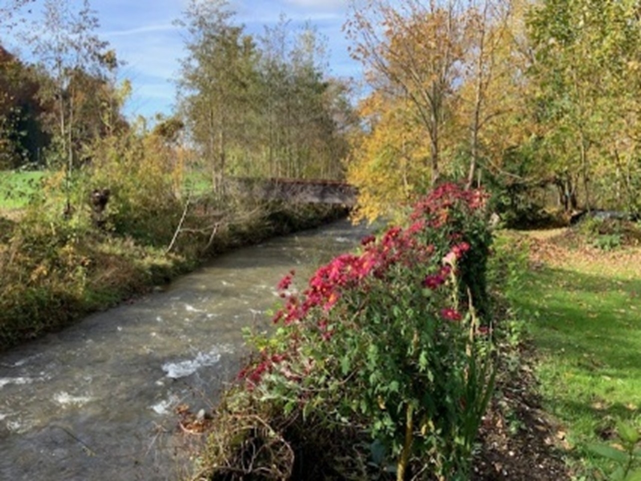 Picture 12