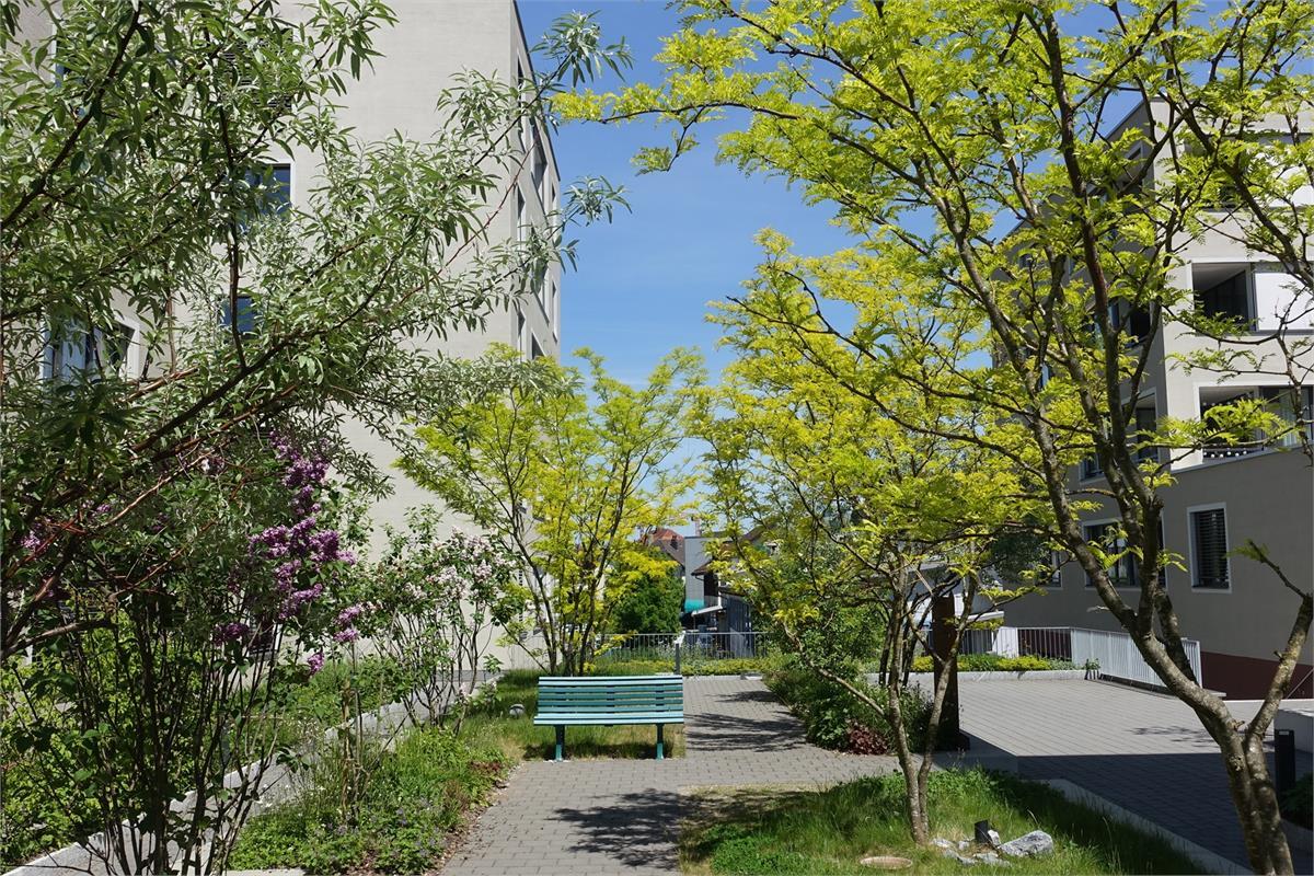Foto 15
