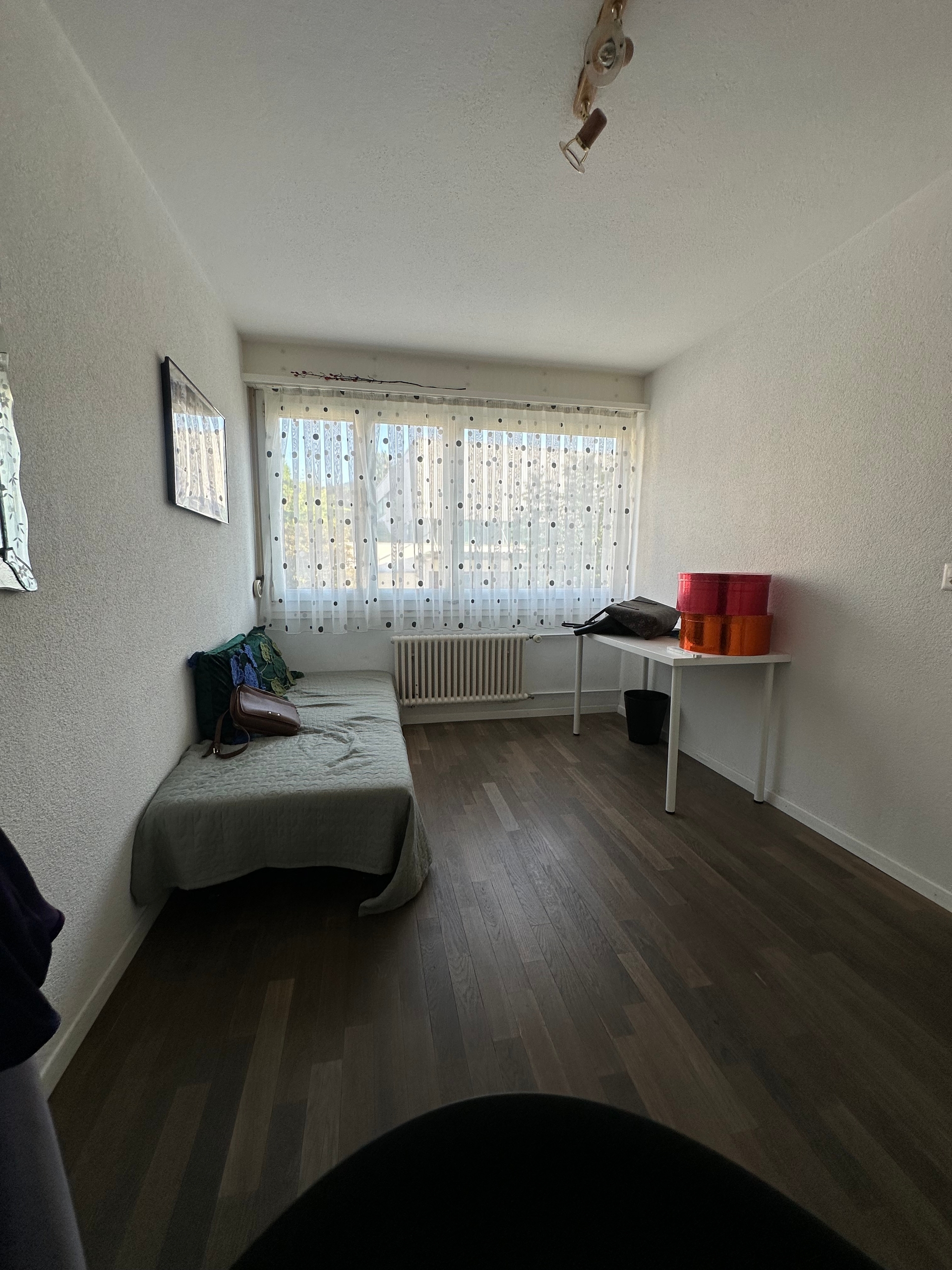 Photo 6