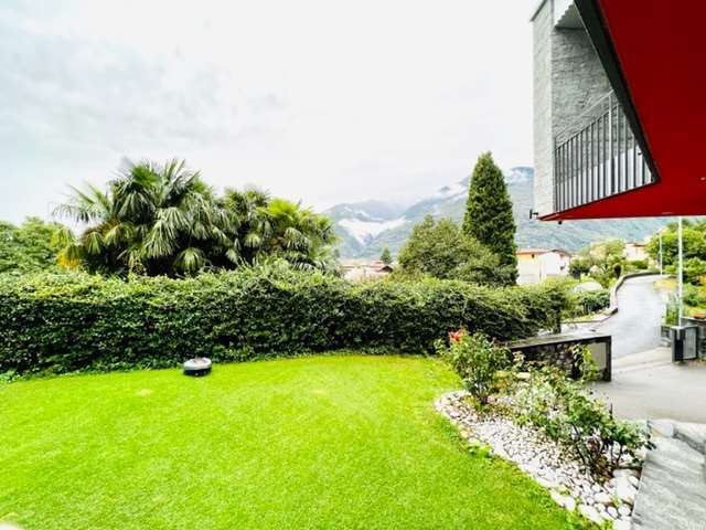Photo 15