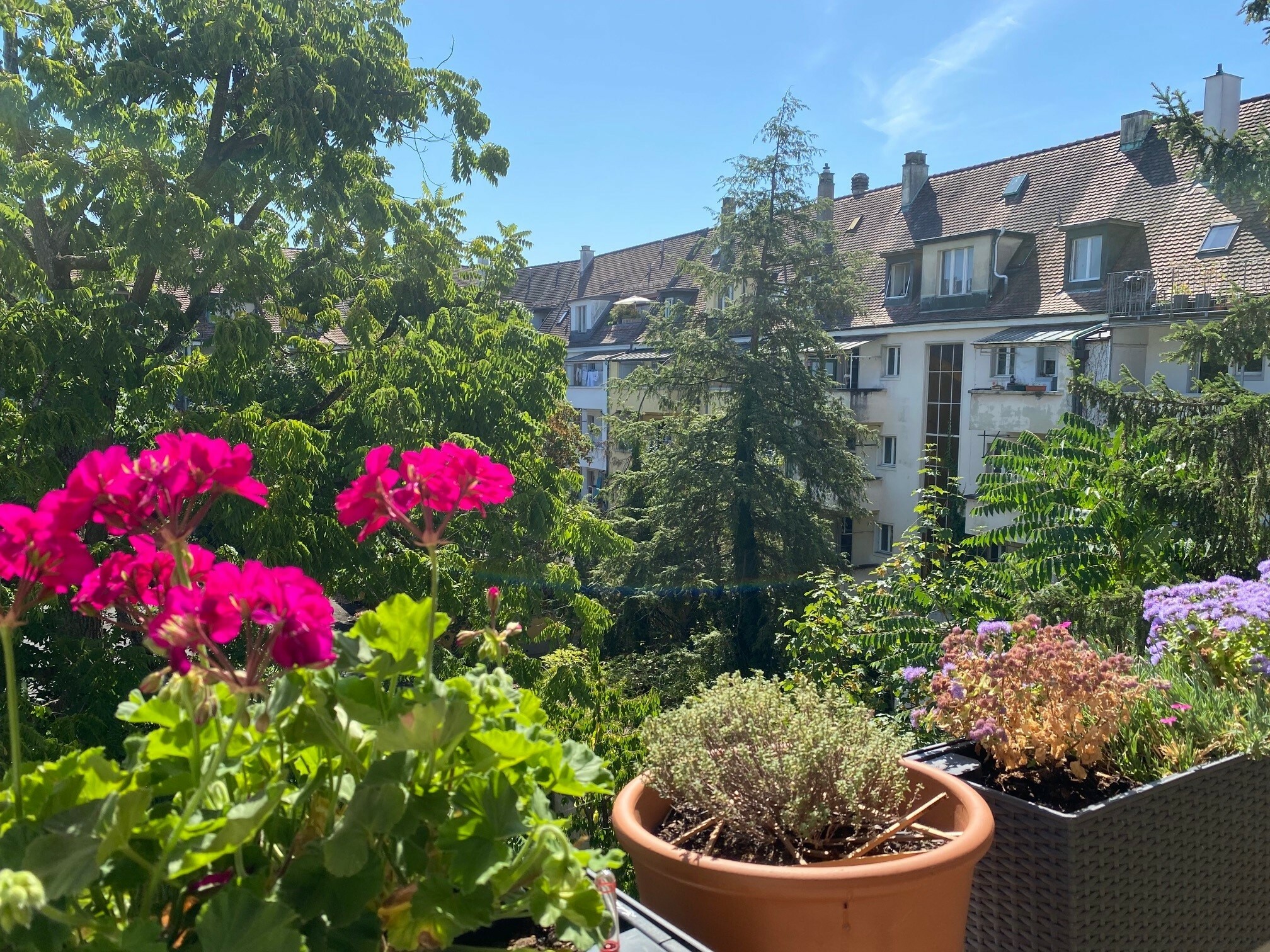Aussicht Balkon Ost