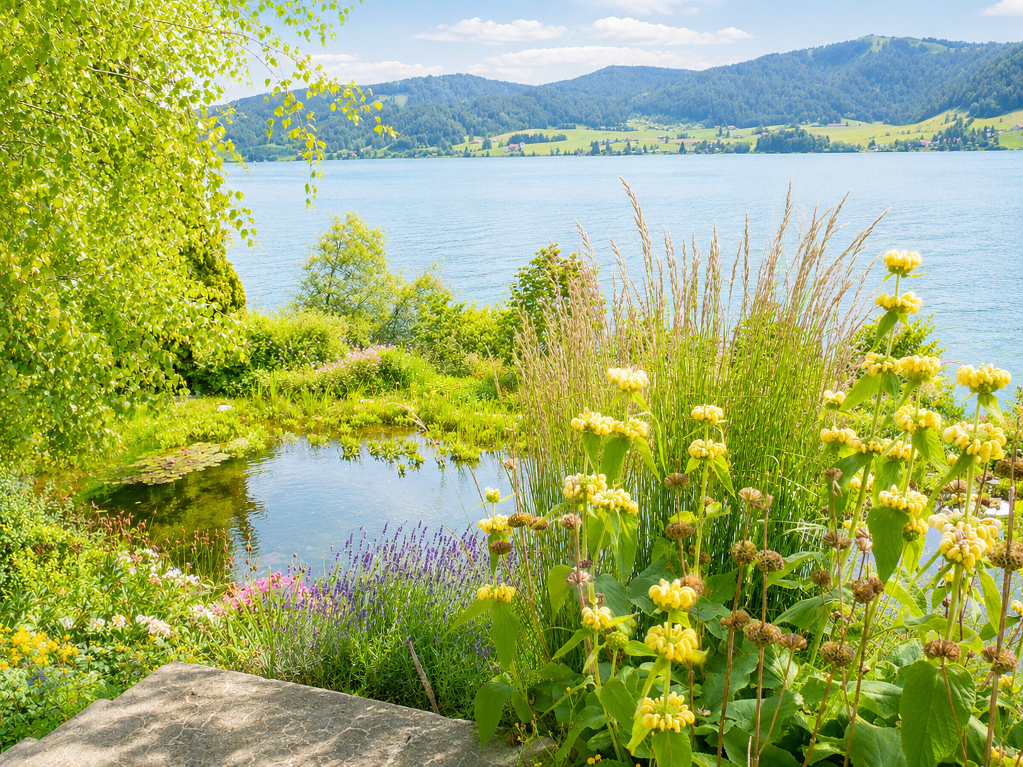 Seeblick