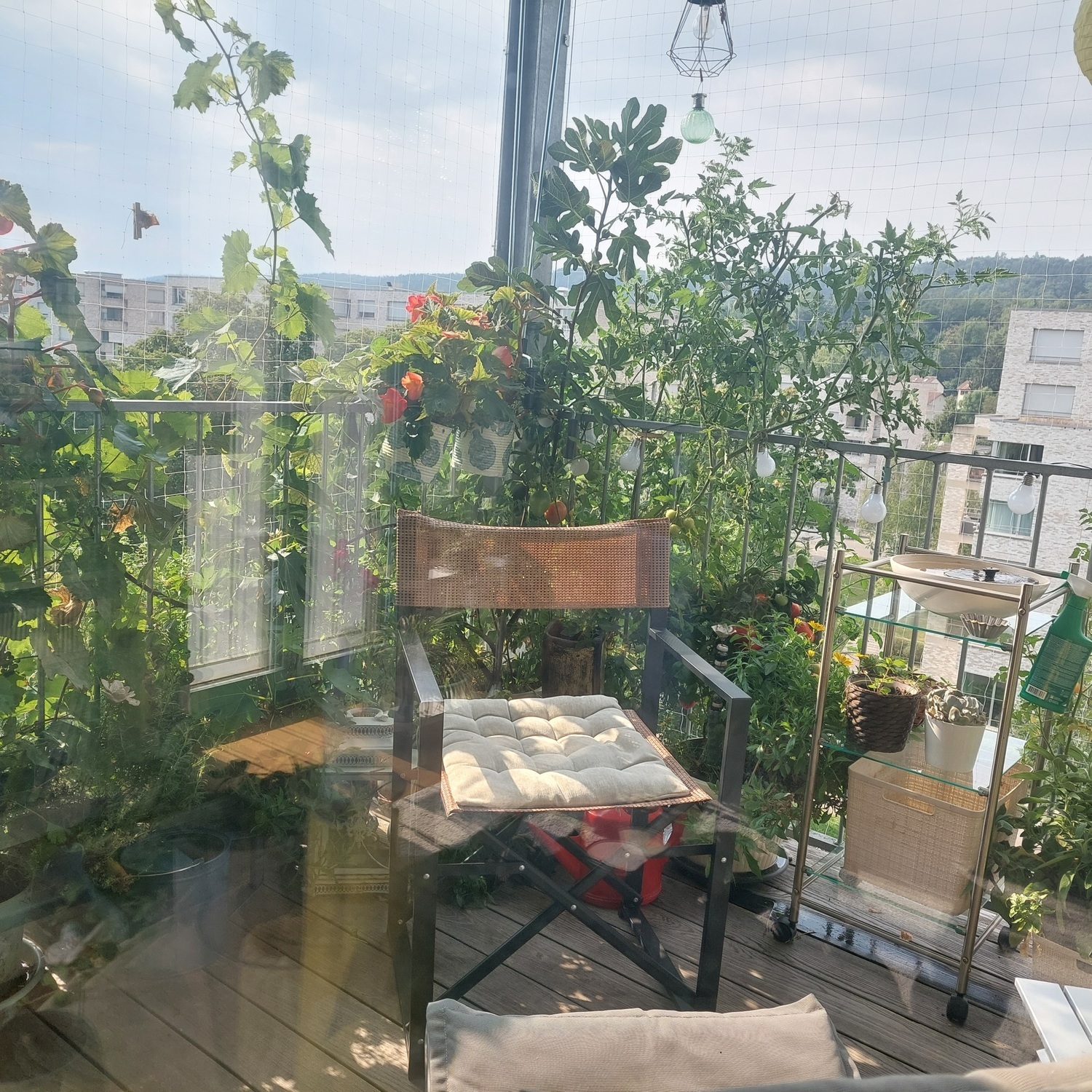 Foto 5
