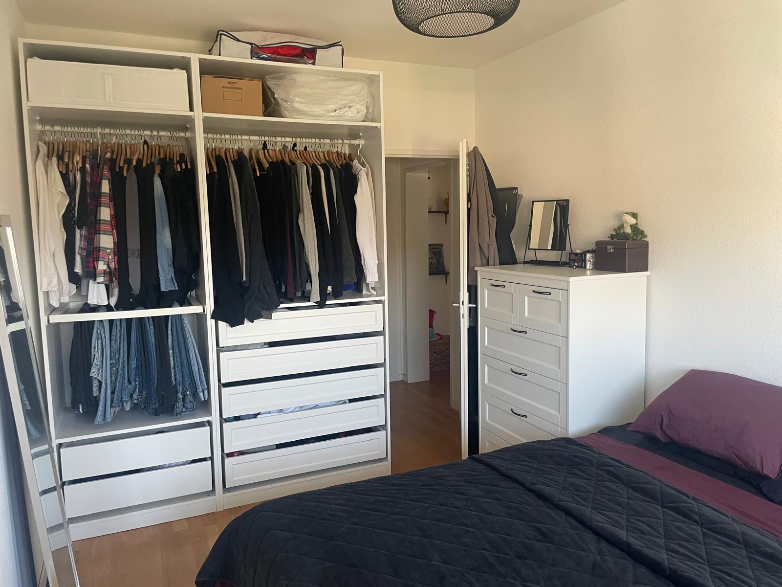 Picture 5
