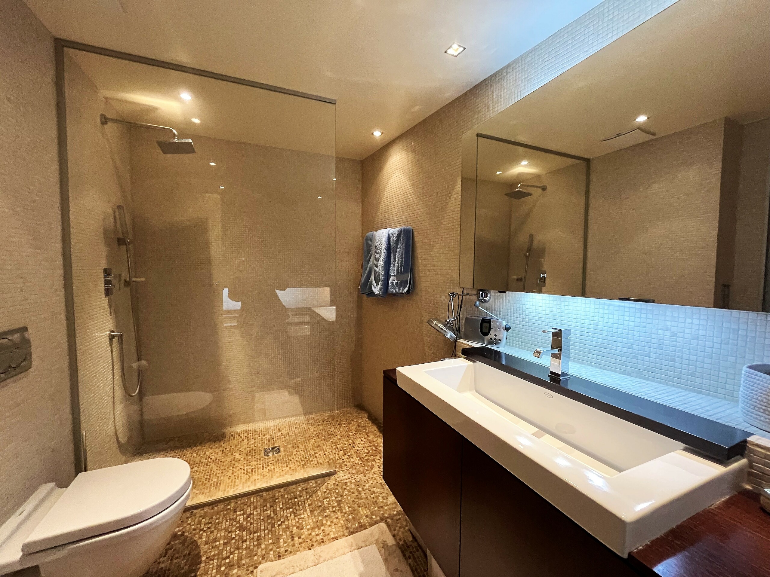 Salle de bain, douche attenante Salle de bain, douche attenante