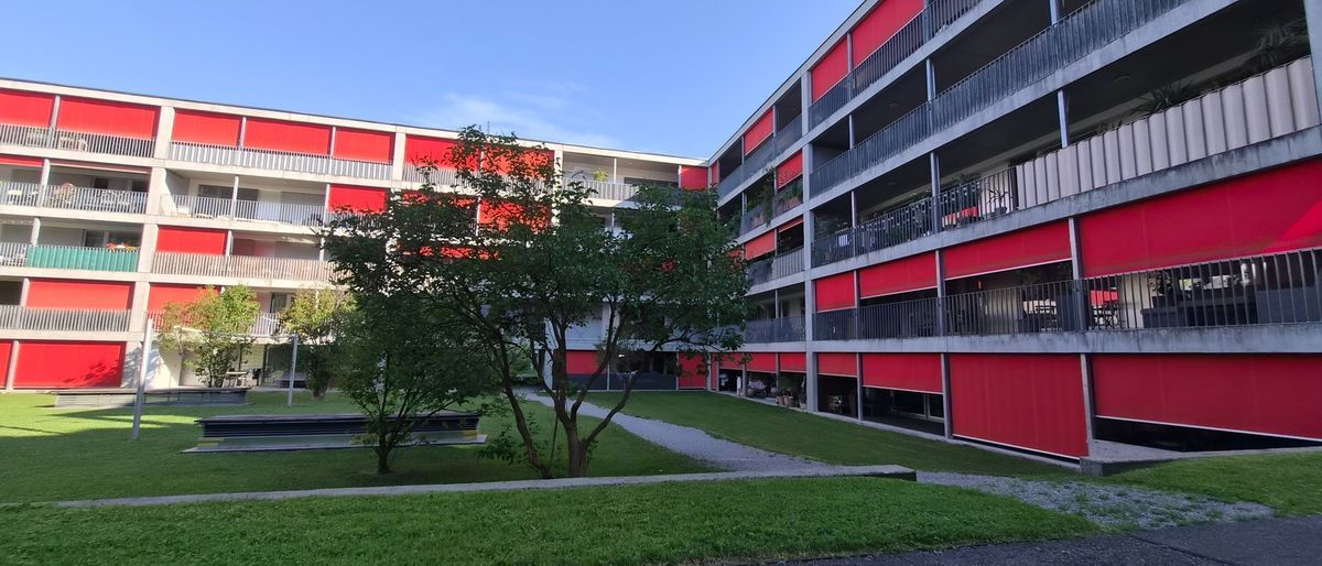 Foto 6