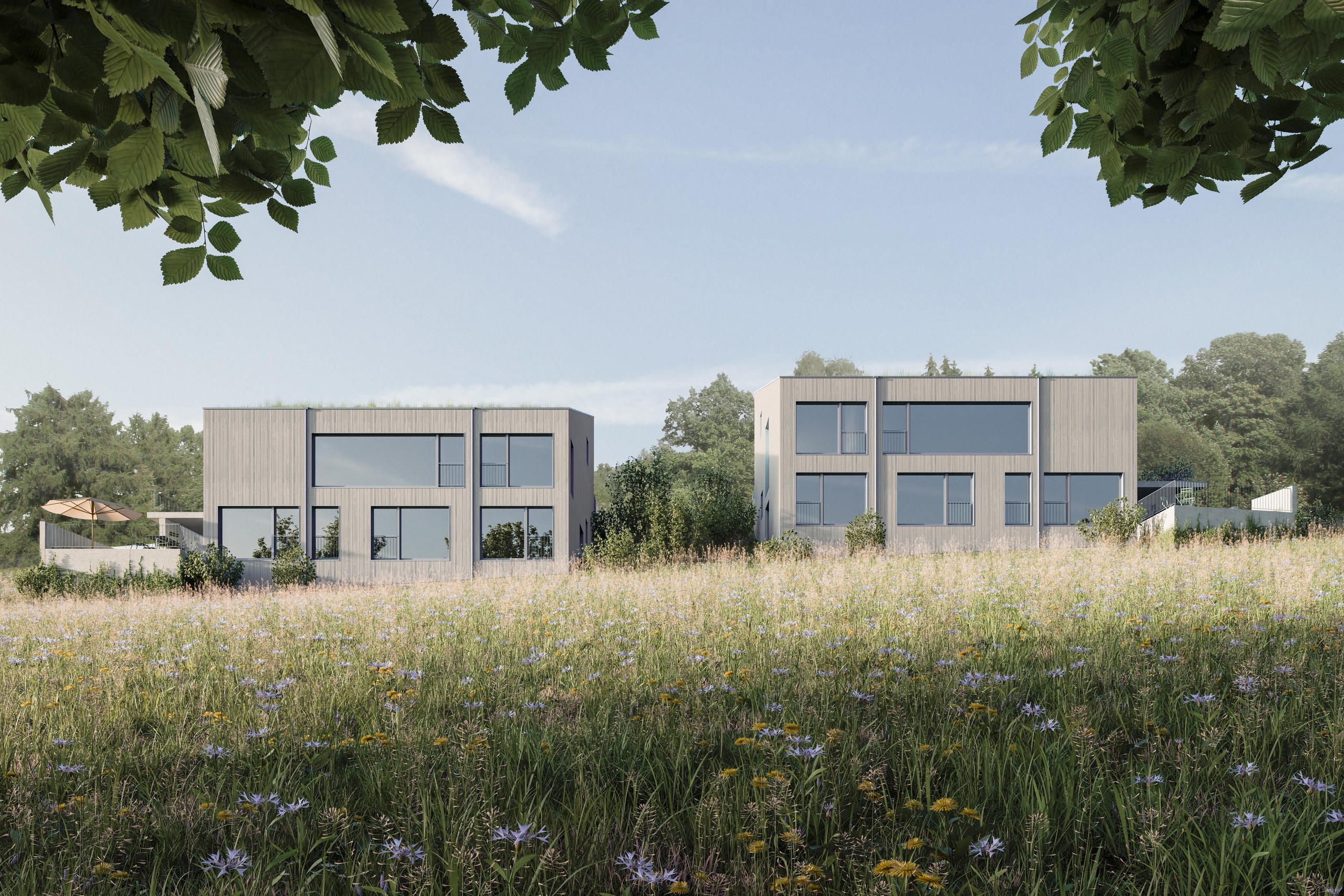 Brunegg_Wiese Brunegg_Wiese