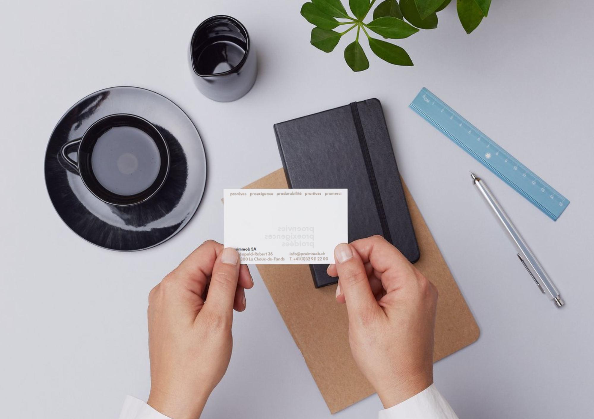 Carte de visite agence immobilière Pro Immob