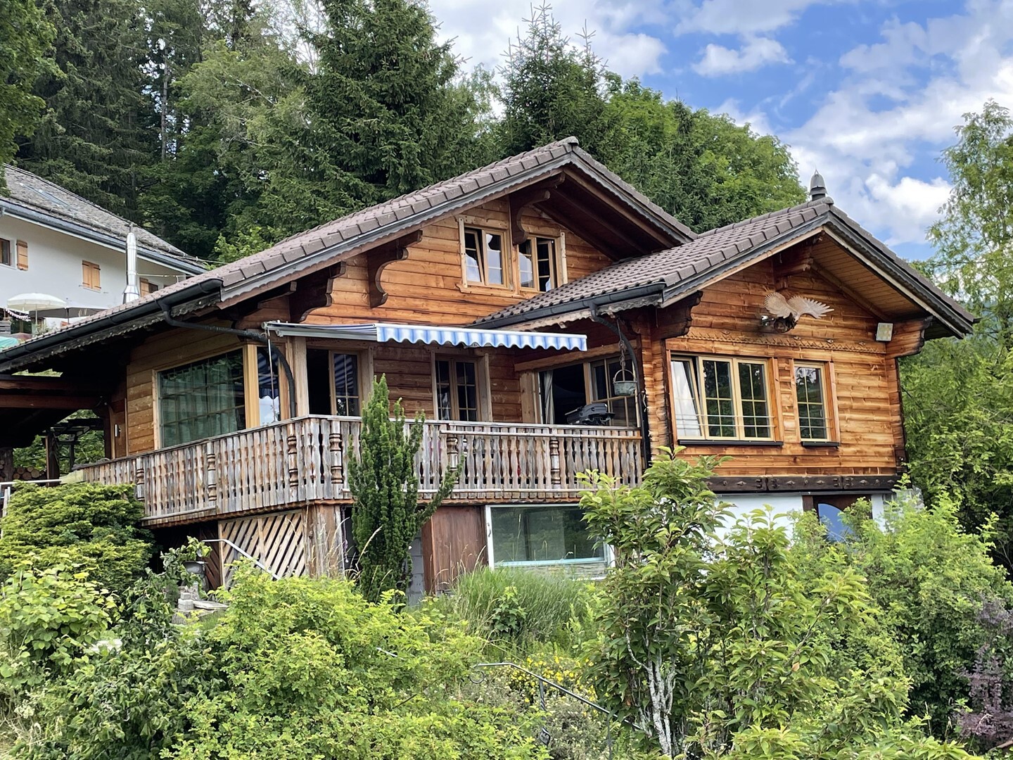 Immagine di copertina