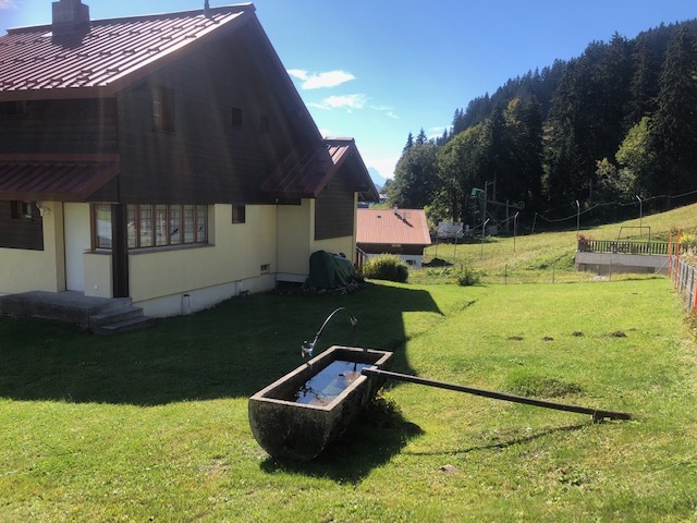 Photo 46