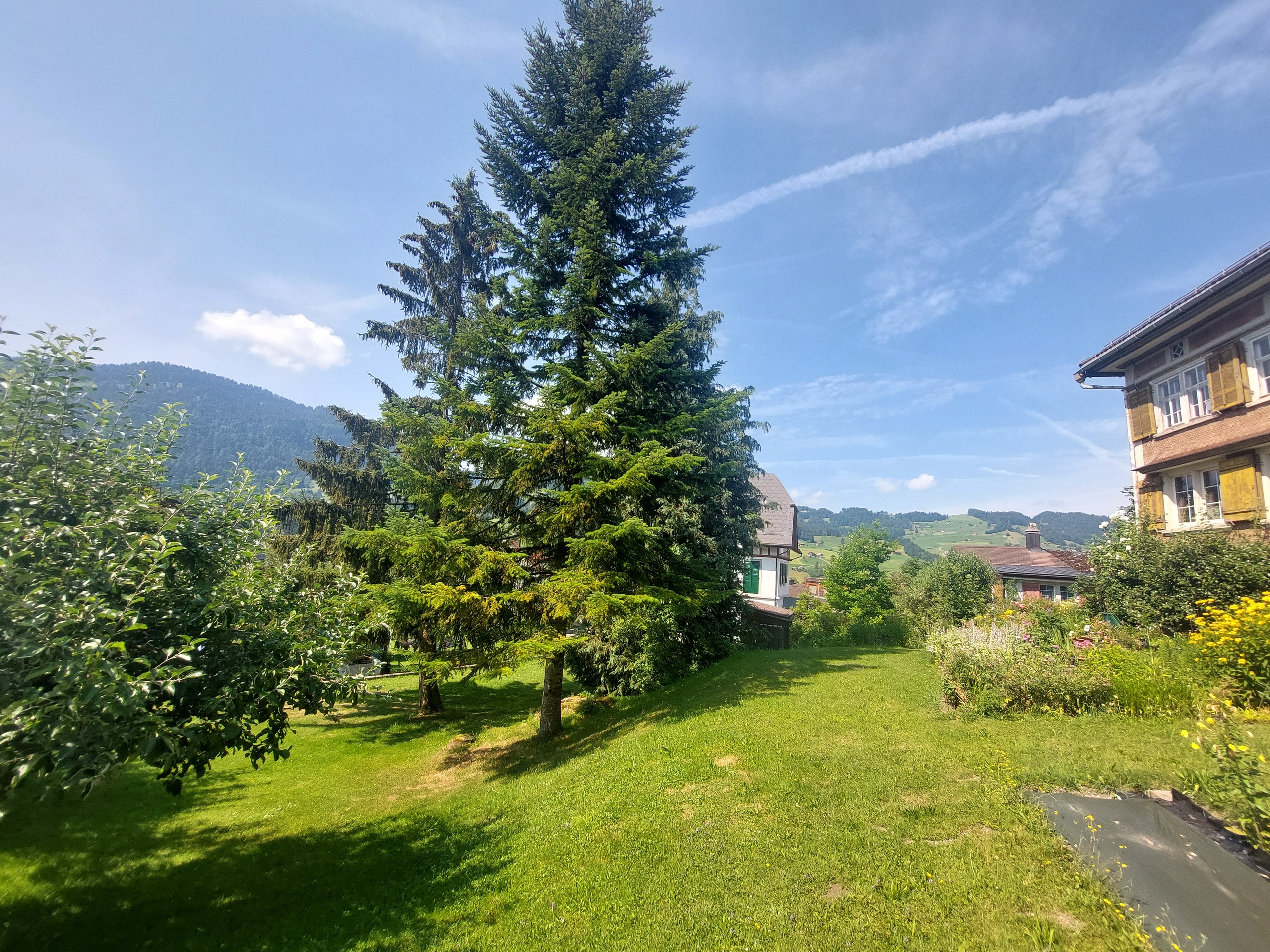 Image 9 Image 9