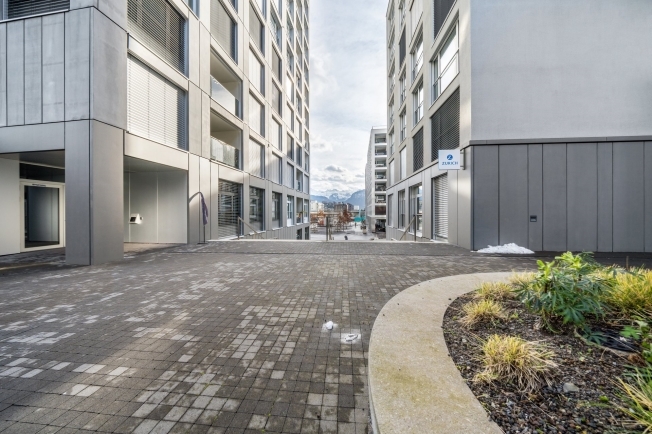 Immagine di copertina