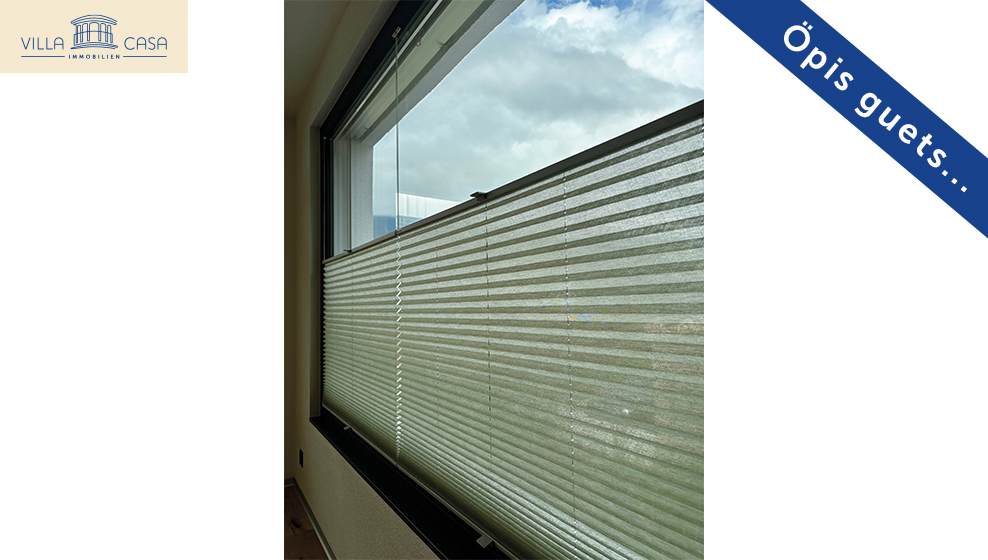 Sichtschutz Sichtschutz