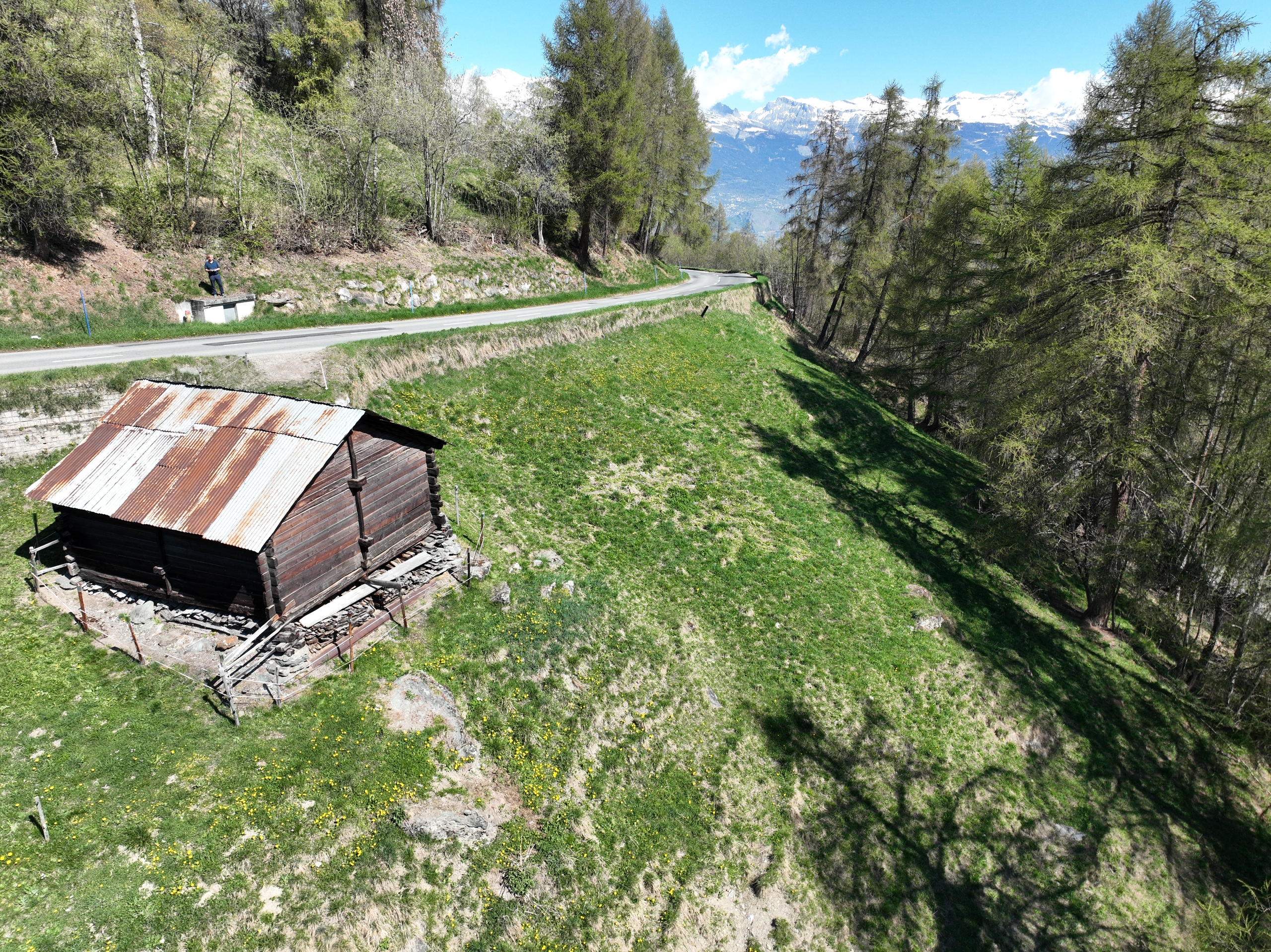 Immagine di copertina