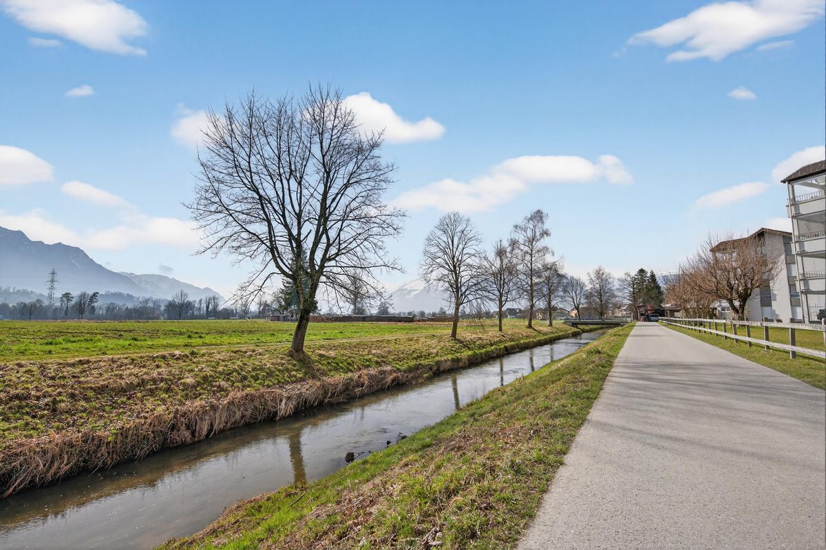 Blick auf einen kleinen Fluss und eine Allee in ländlicher Umgebung. Blick auf einen kleinen Fluss und eine Allee in ländlicher Umgebung.