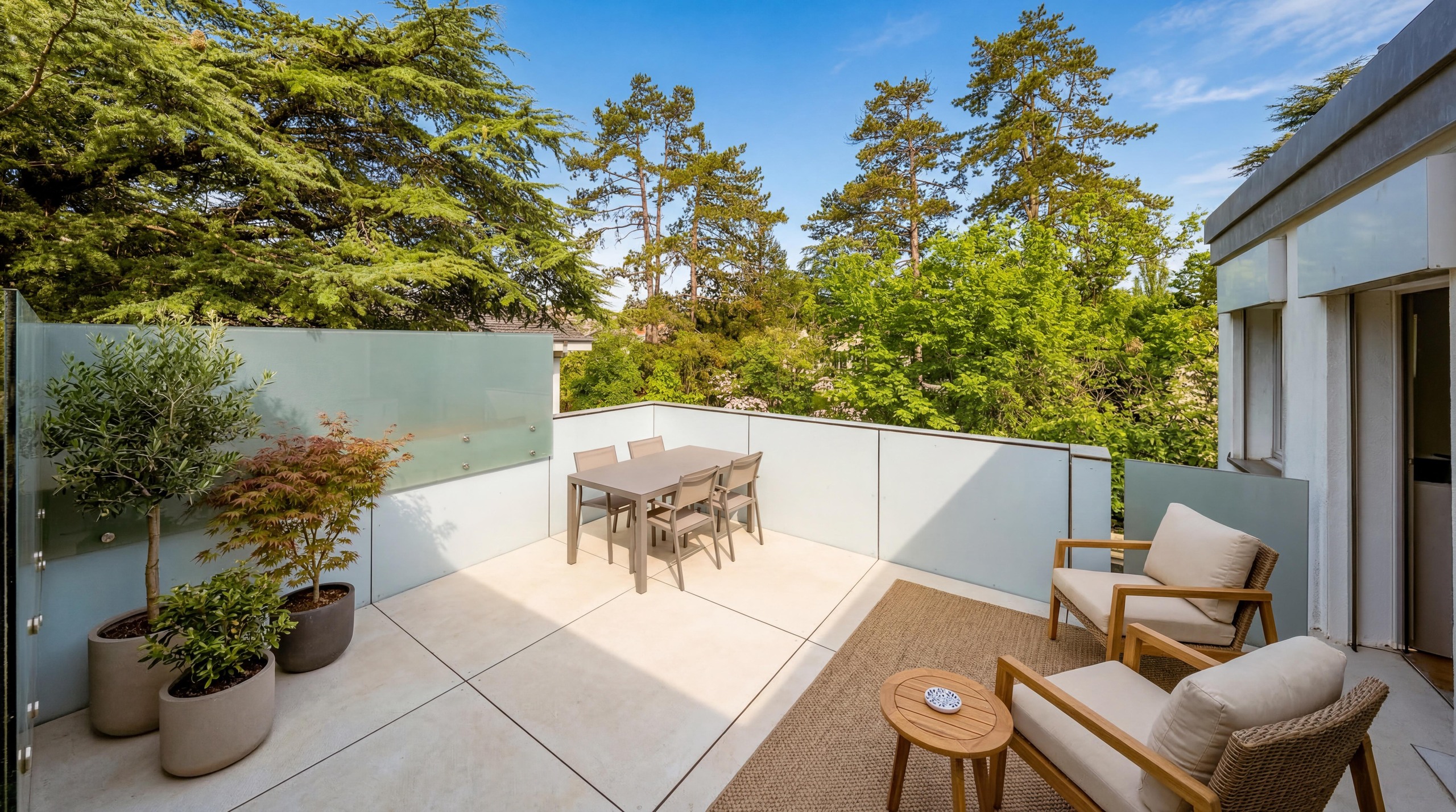 Terrace apartment 1st floor living room side