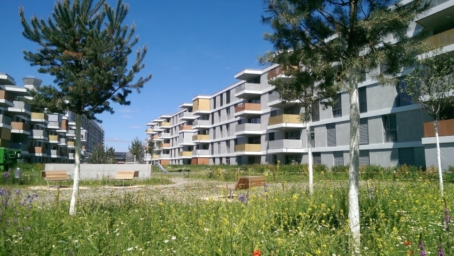 Firstview