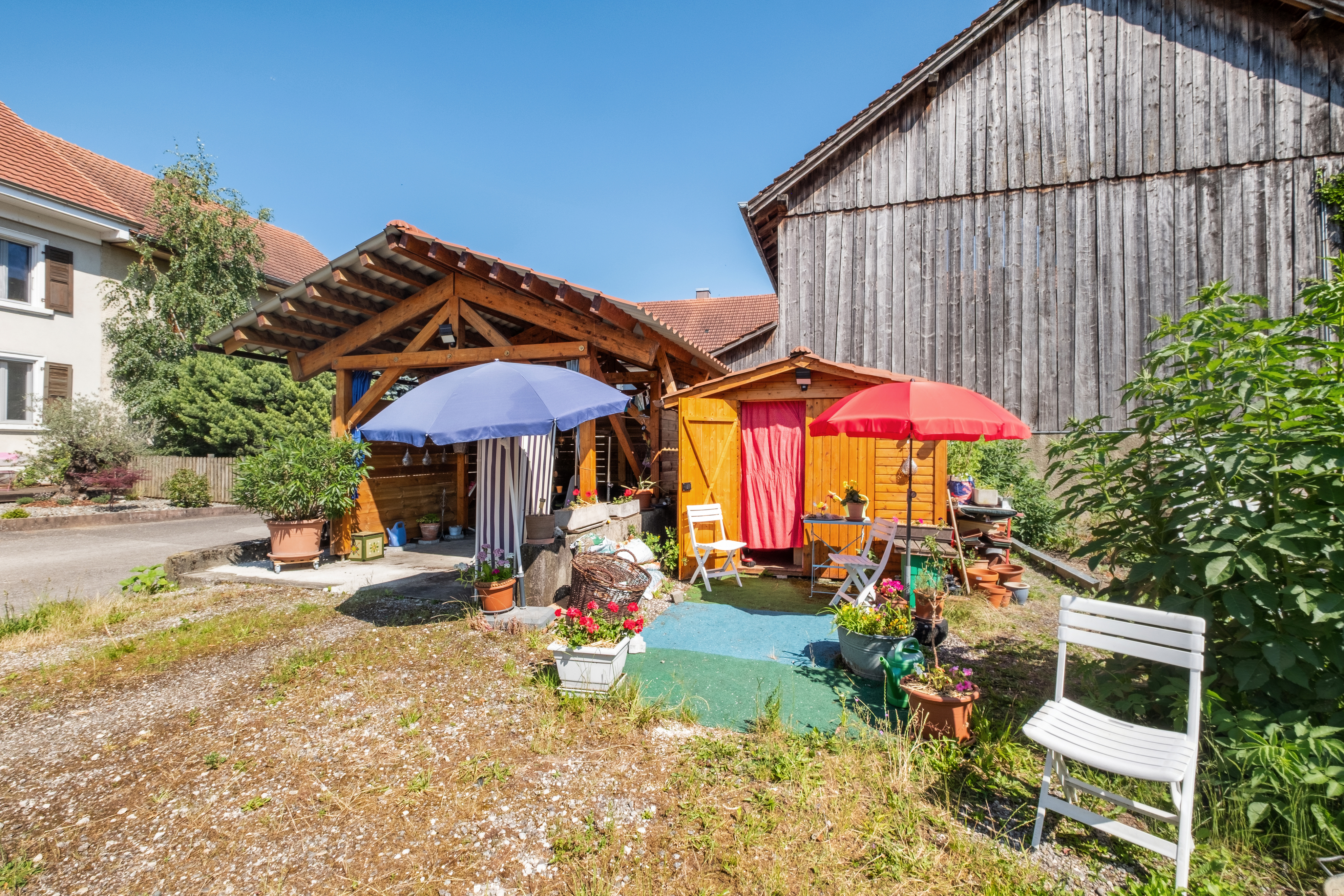 Jardin avec abri de jardin