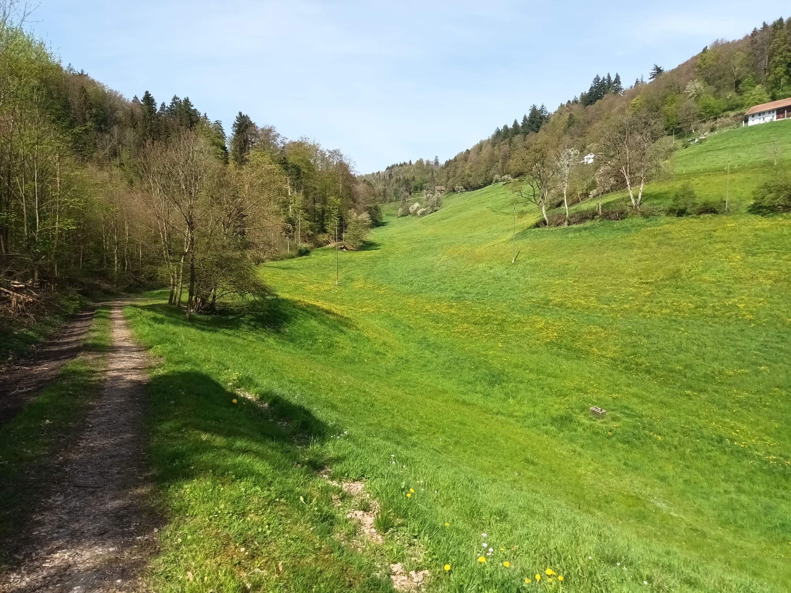 Land westlicher Bereich Land westlicher Bereich