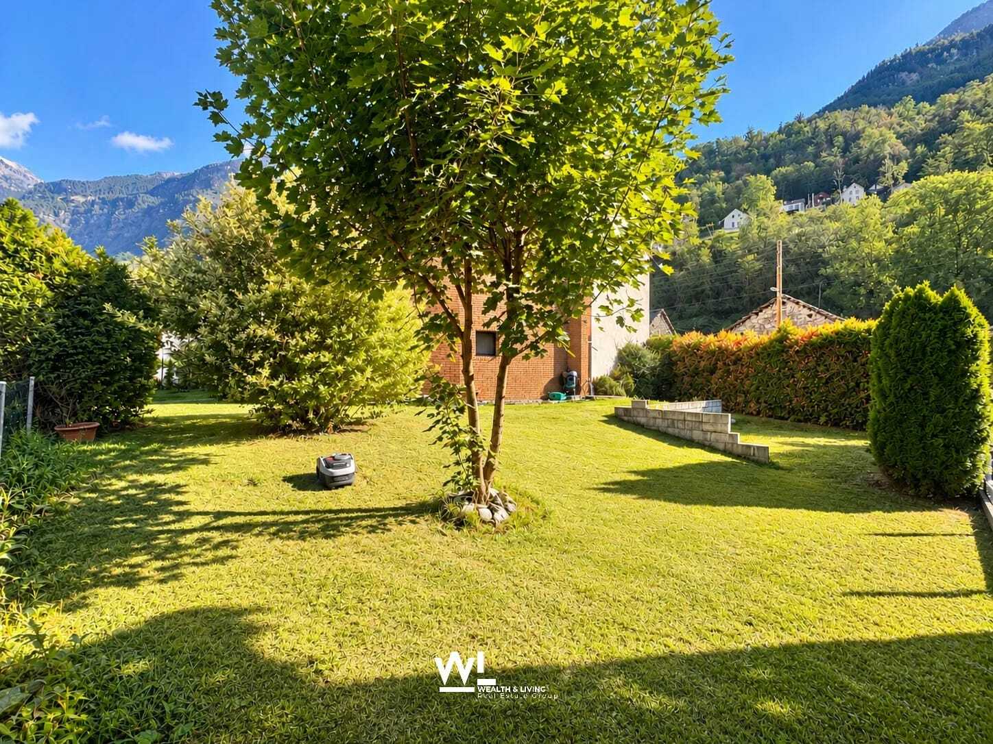Foto 5