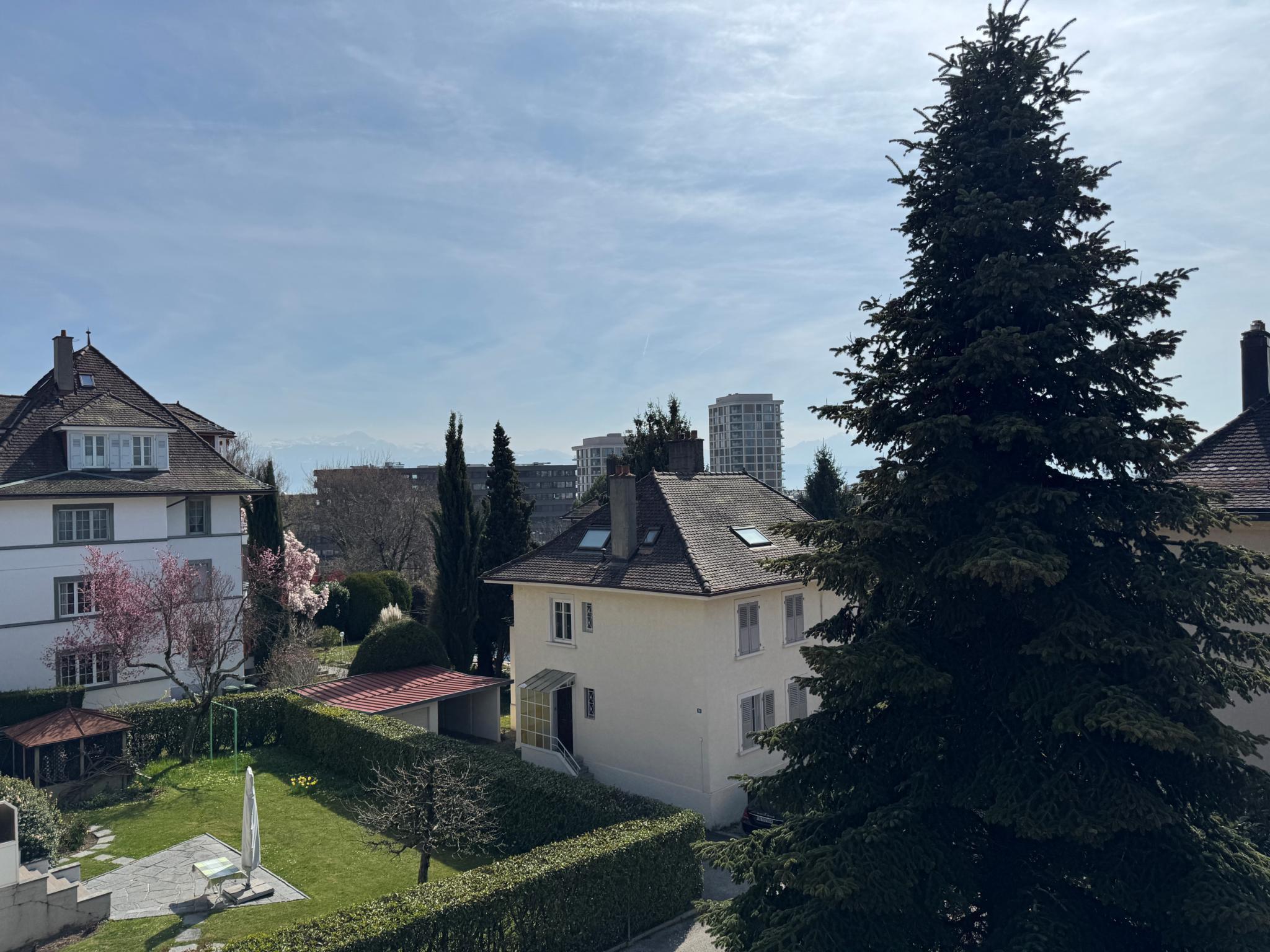 Immagine di copertina 1