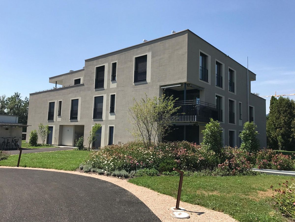 Immagine di copertina