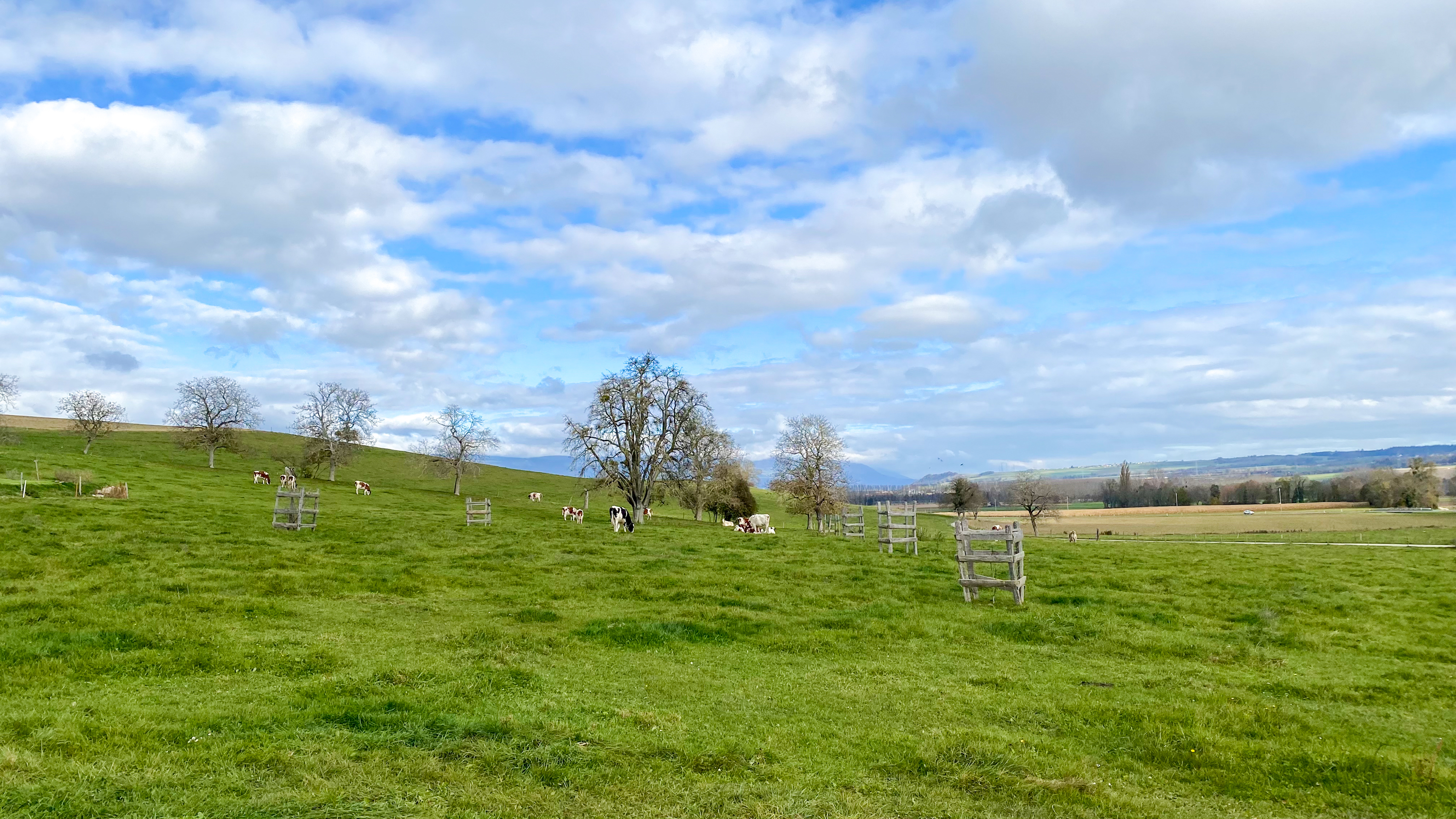 Exemple de terrain en pleine campagne pouvant accueillir un ou plusieurs Domespaces.