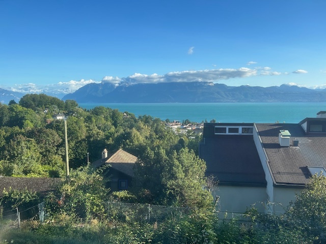 Immagine di copertina