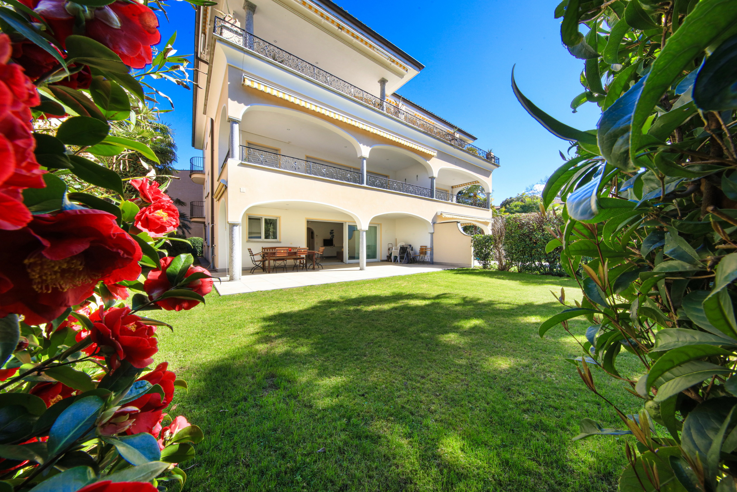 Immagine di copertina