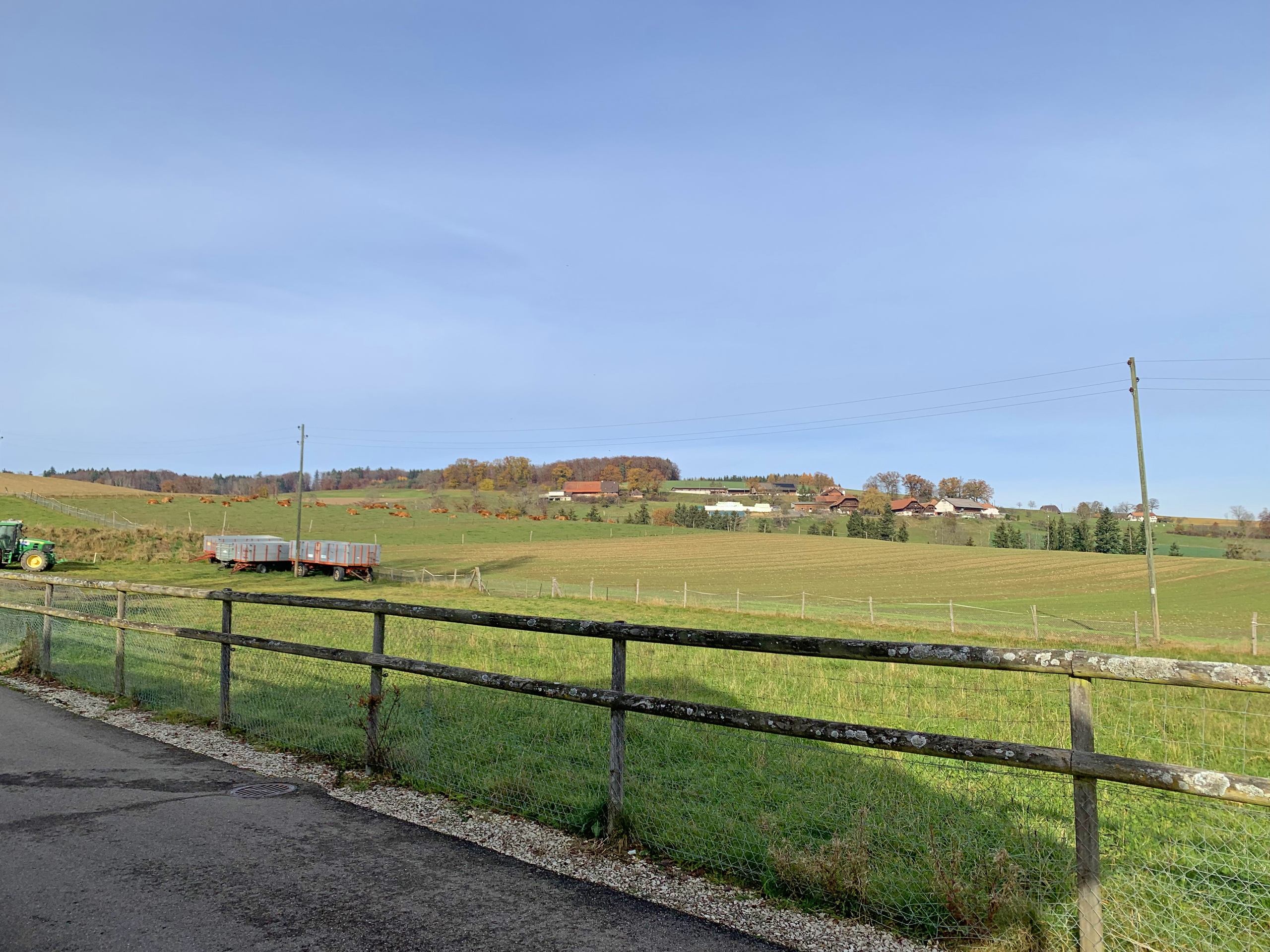 Vue sur le champs agricole