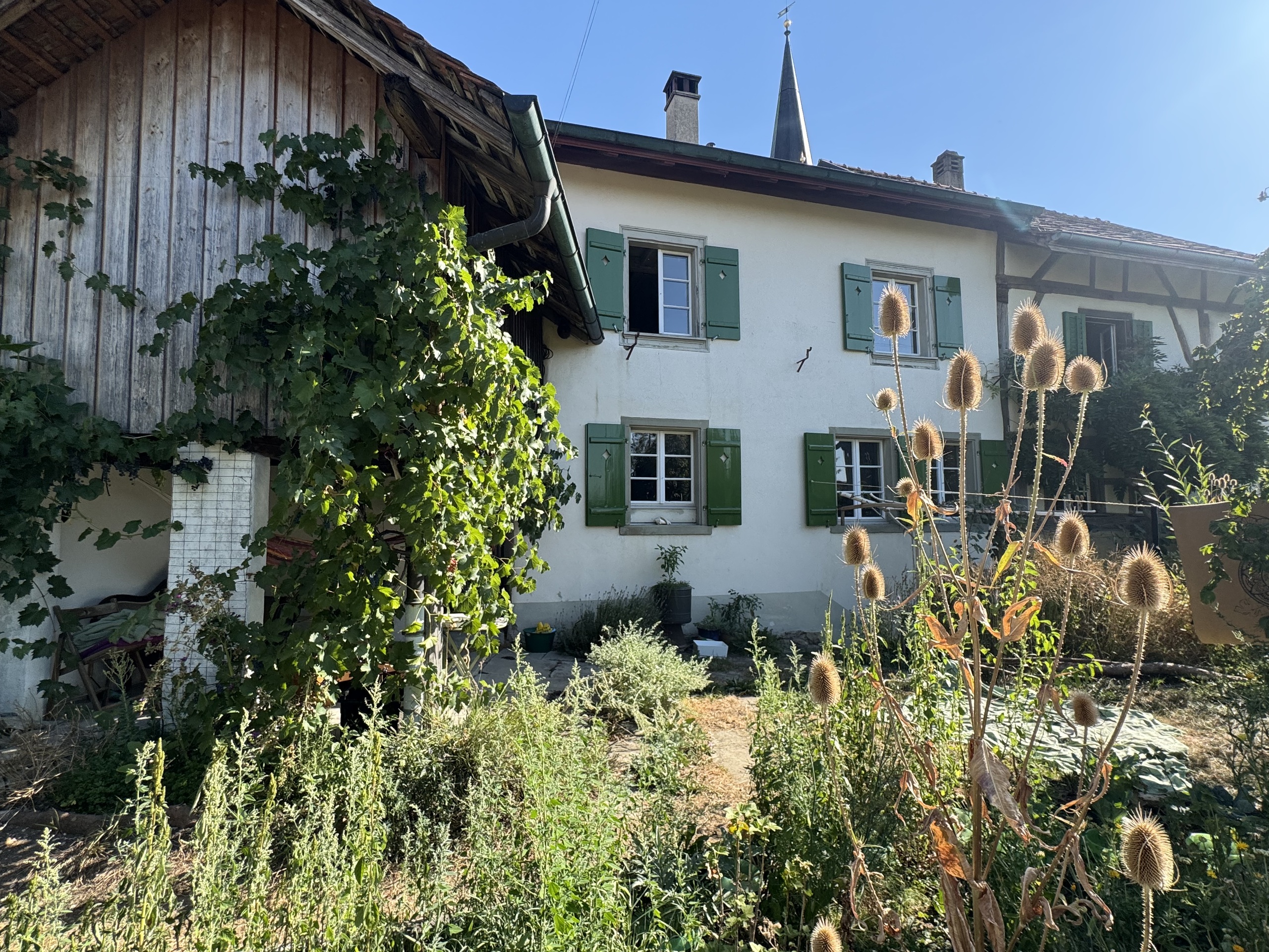 Exterior view 2