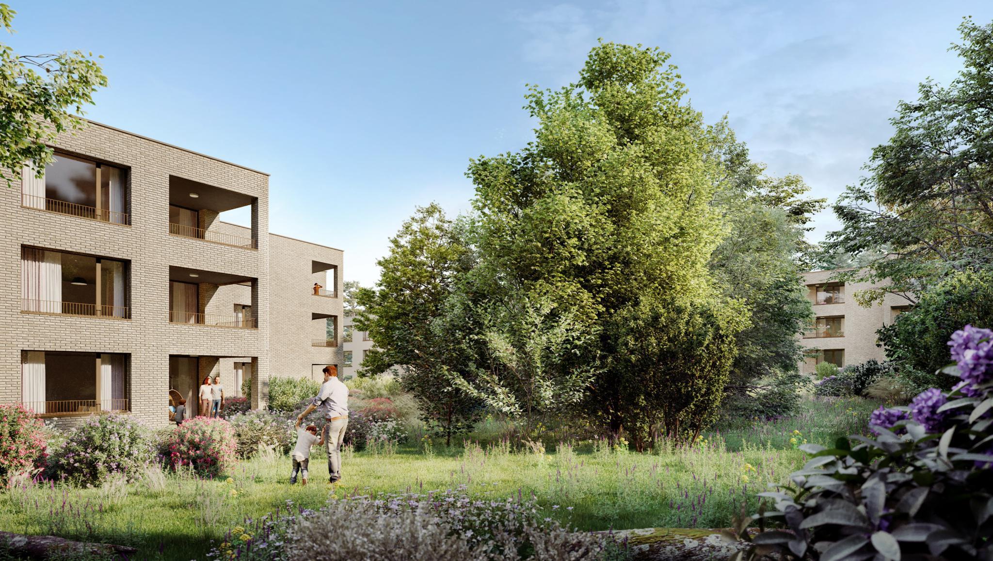 Immagine di copertina