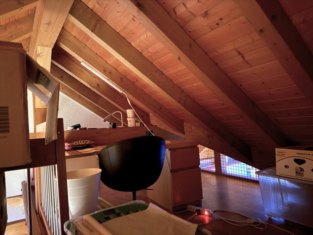 Photo 8
