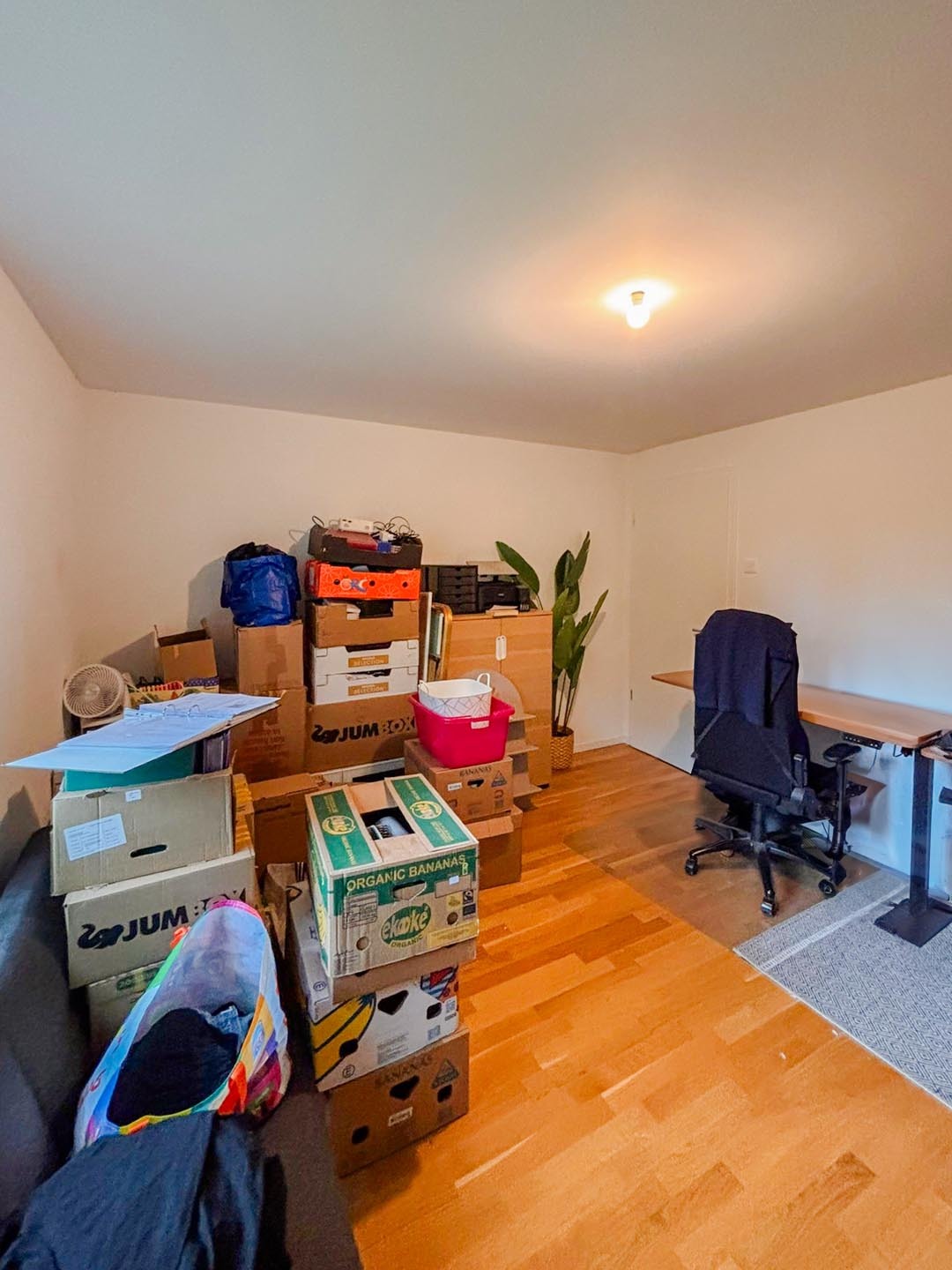 chambre 1 chambre 1