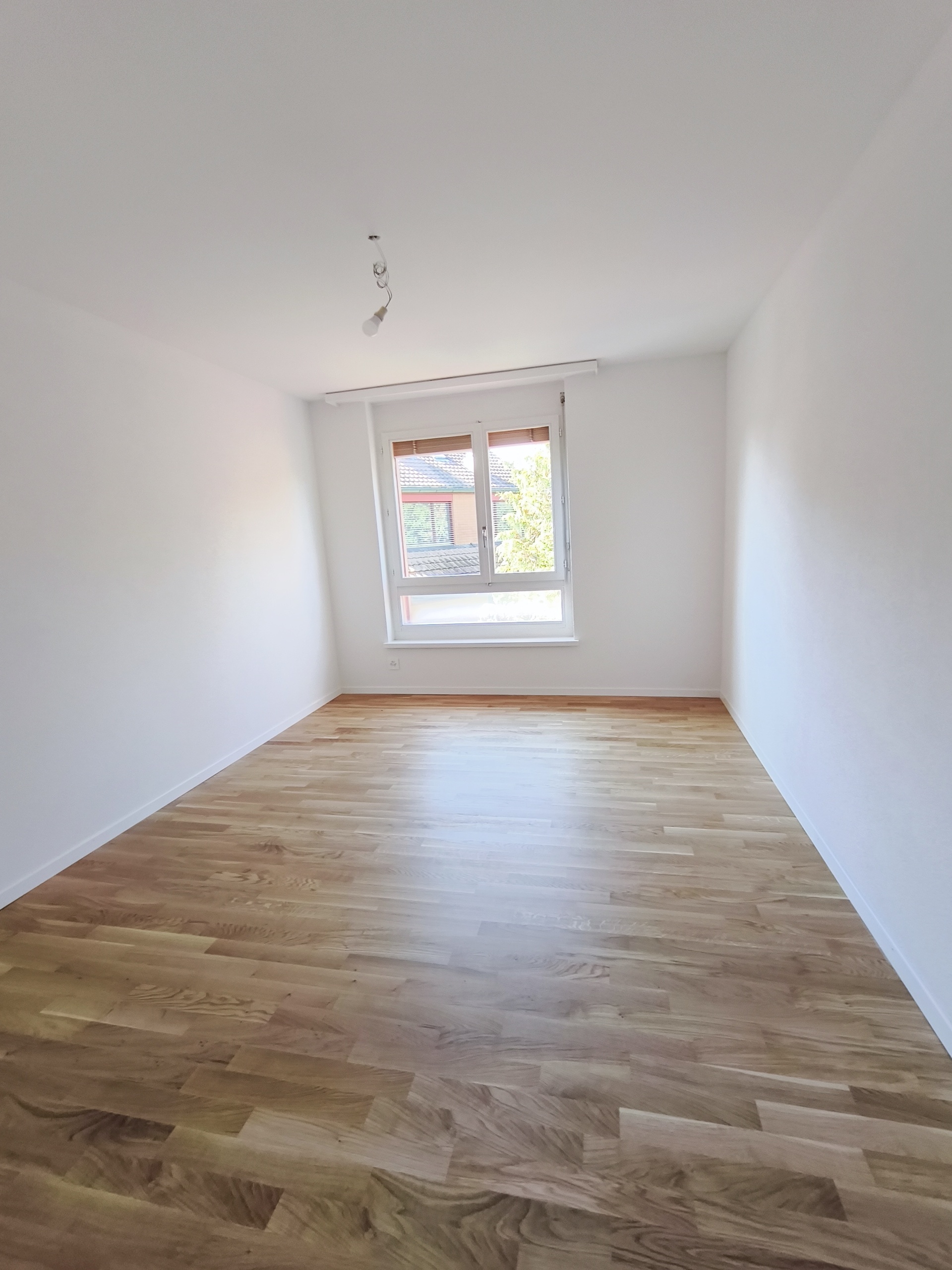 Interior view 5