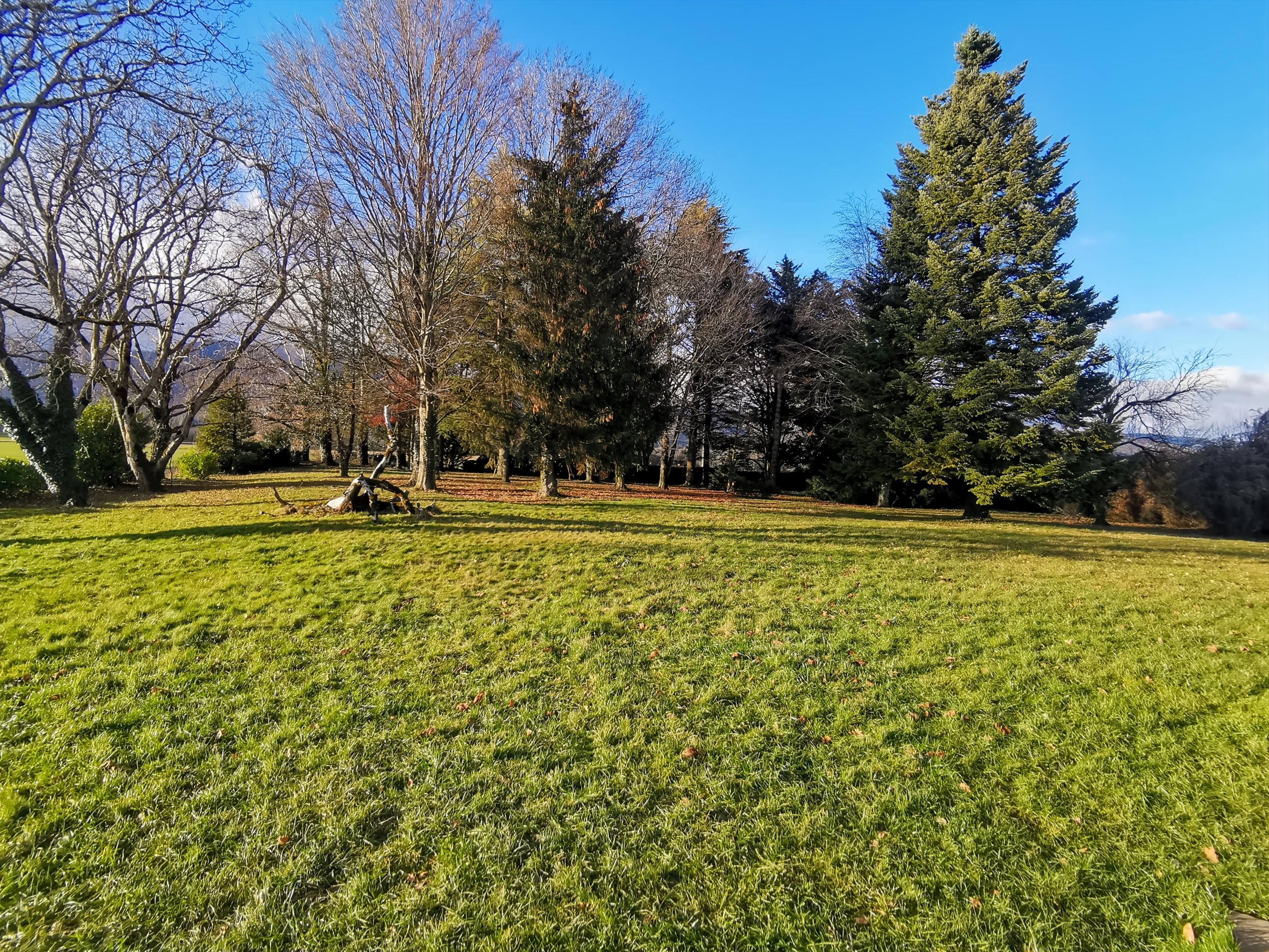 Terrain - Balocco Immobilier