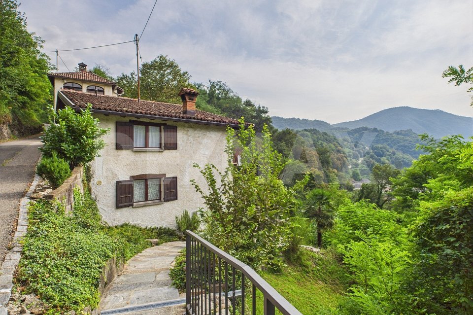 Immagine di copertina 2