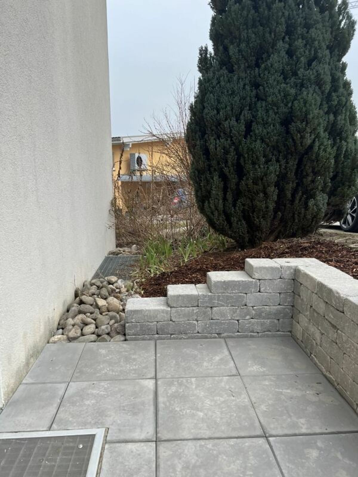 Picture 5