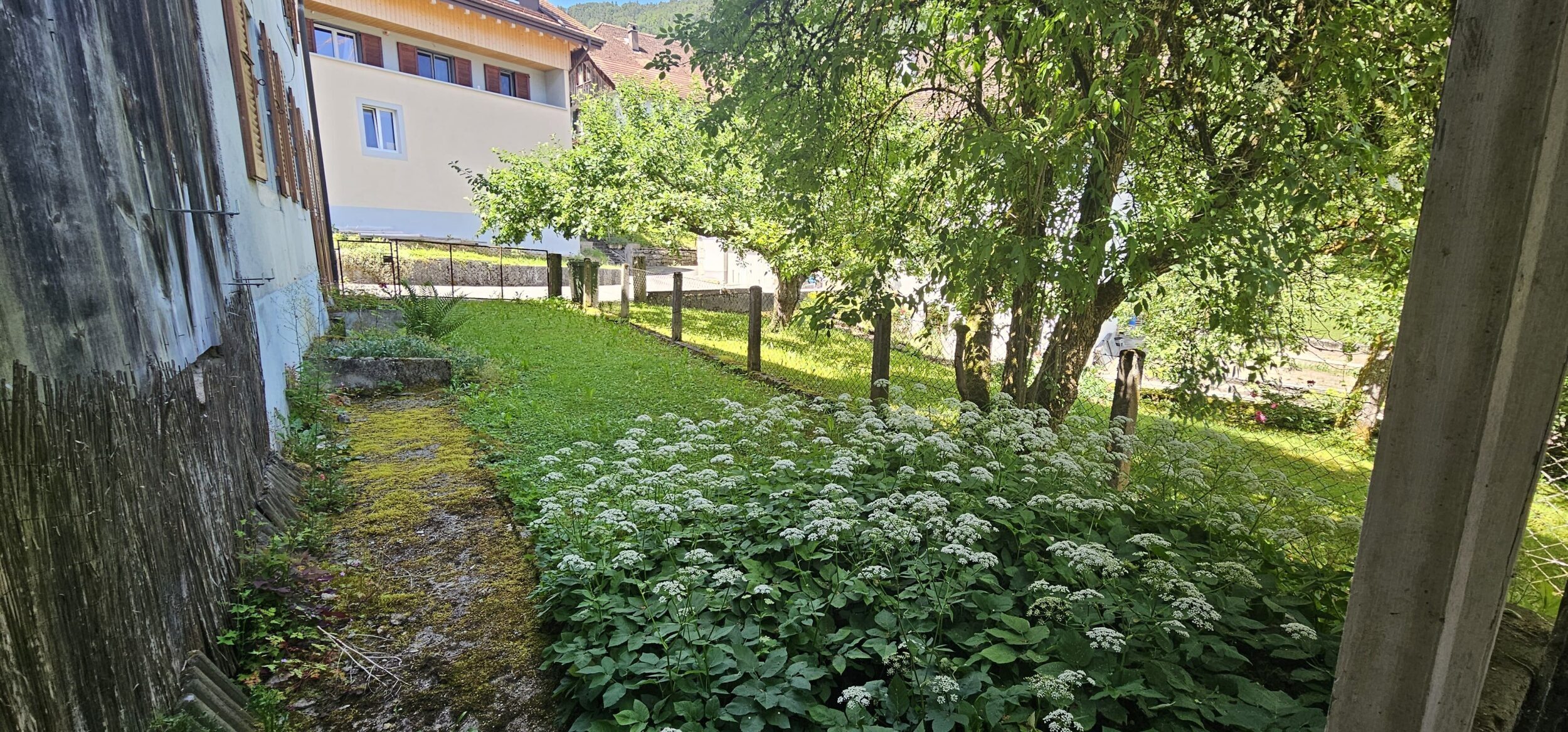 Foto 10