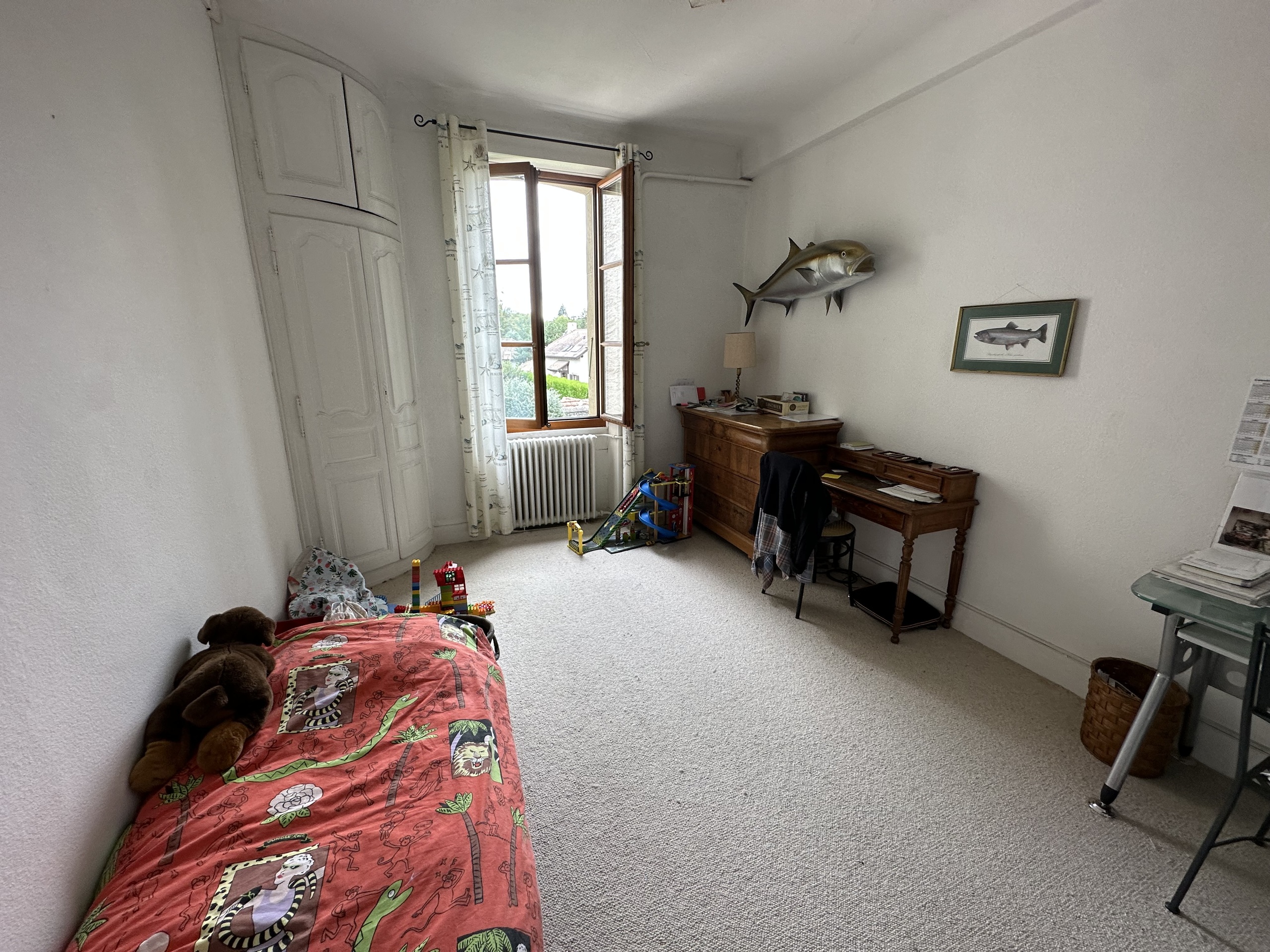 Foto 5