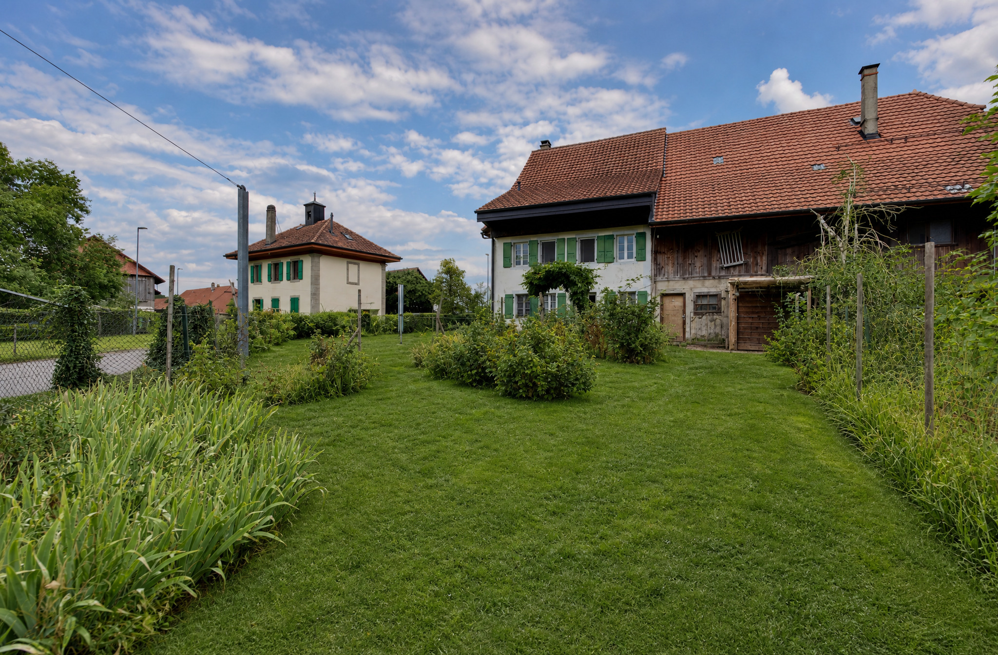 Photo 12