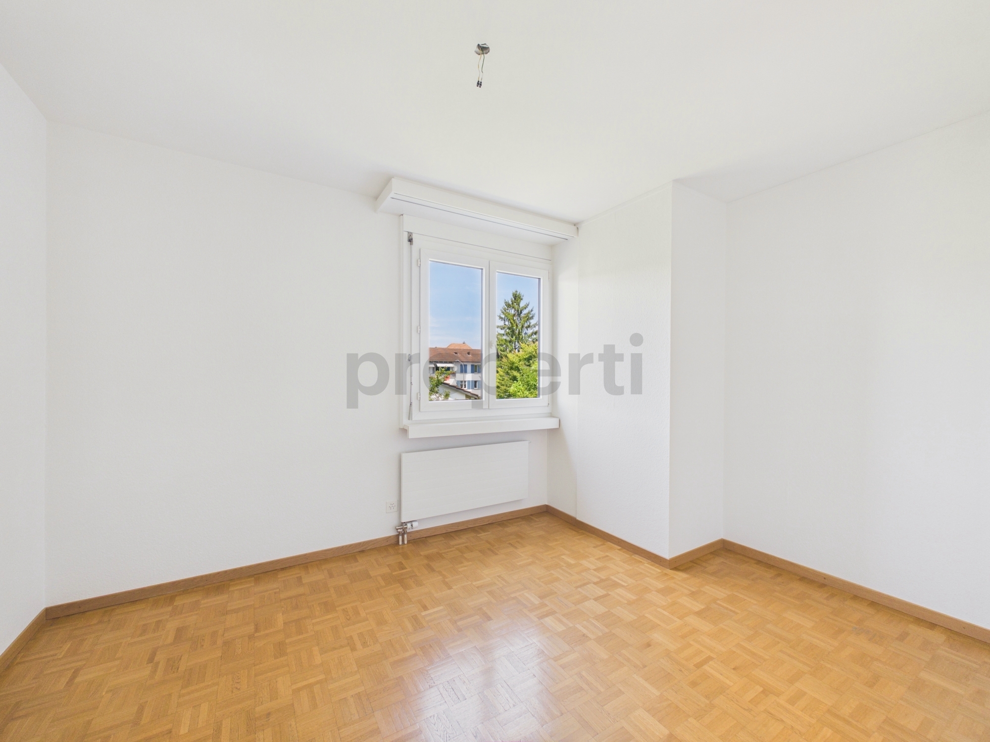 Picture 7