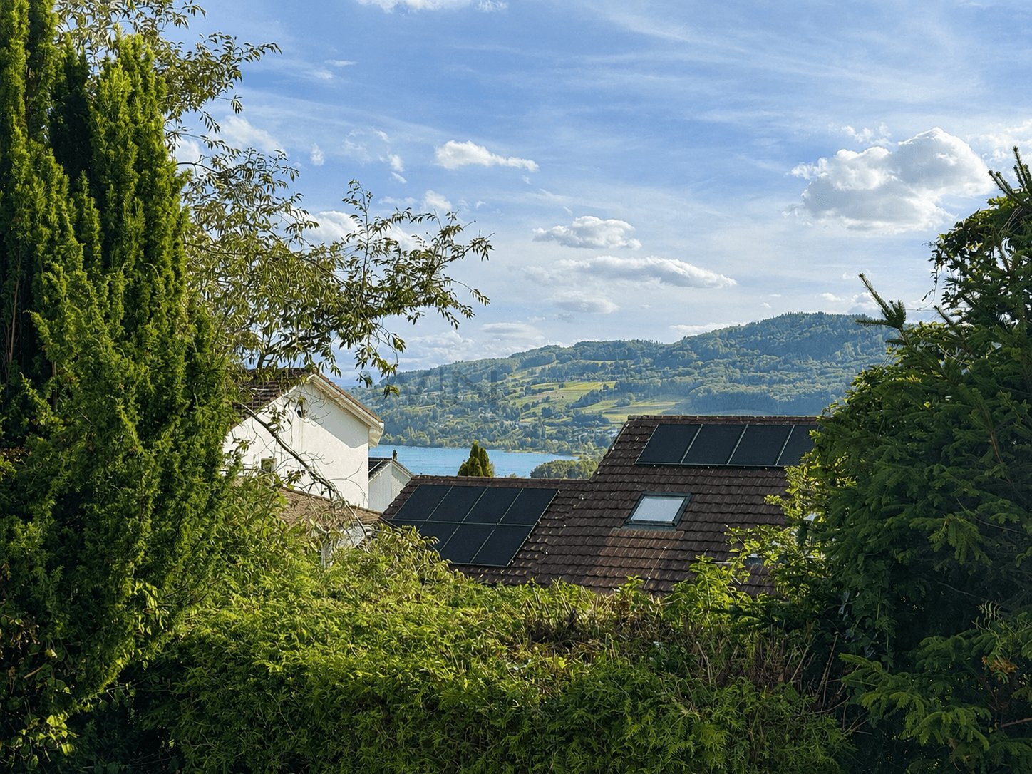 Foto 12